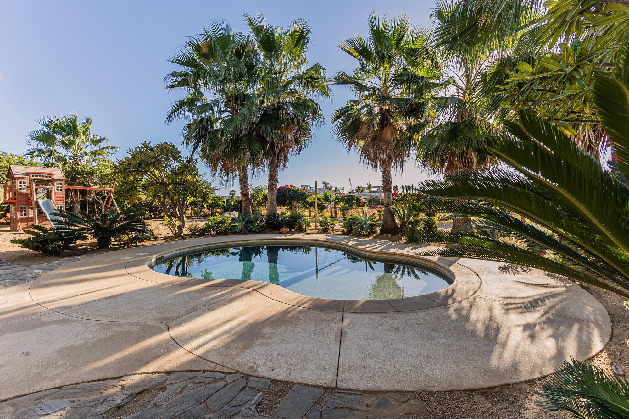 C. de Acceso MiniSuper Munchie, Casa Locura