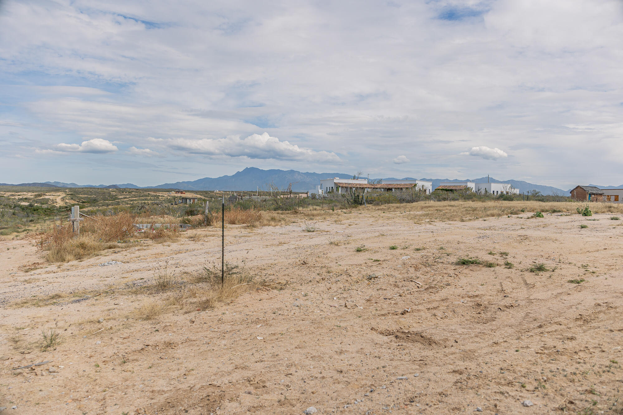 Mnz 115 Lote 014, Lote Catorce