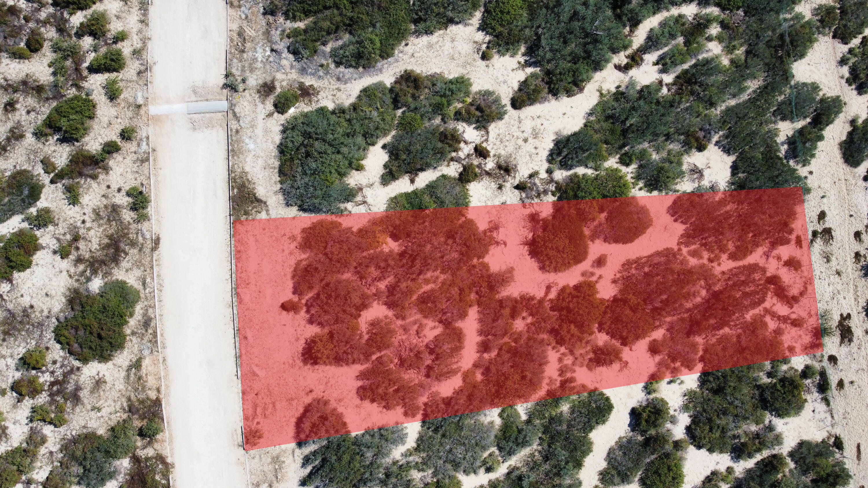 LIGHTHOUSE POINT ESTATES, LOT D38