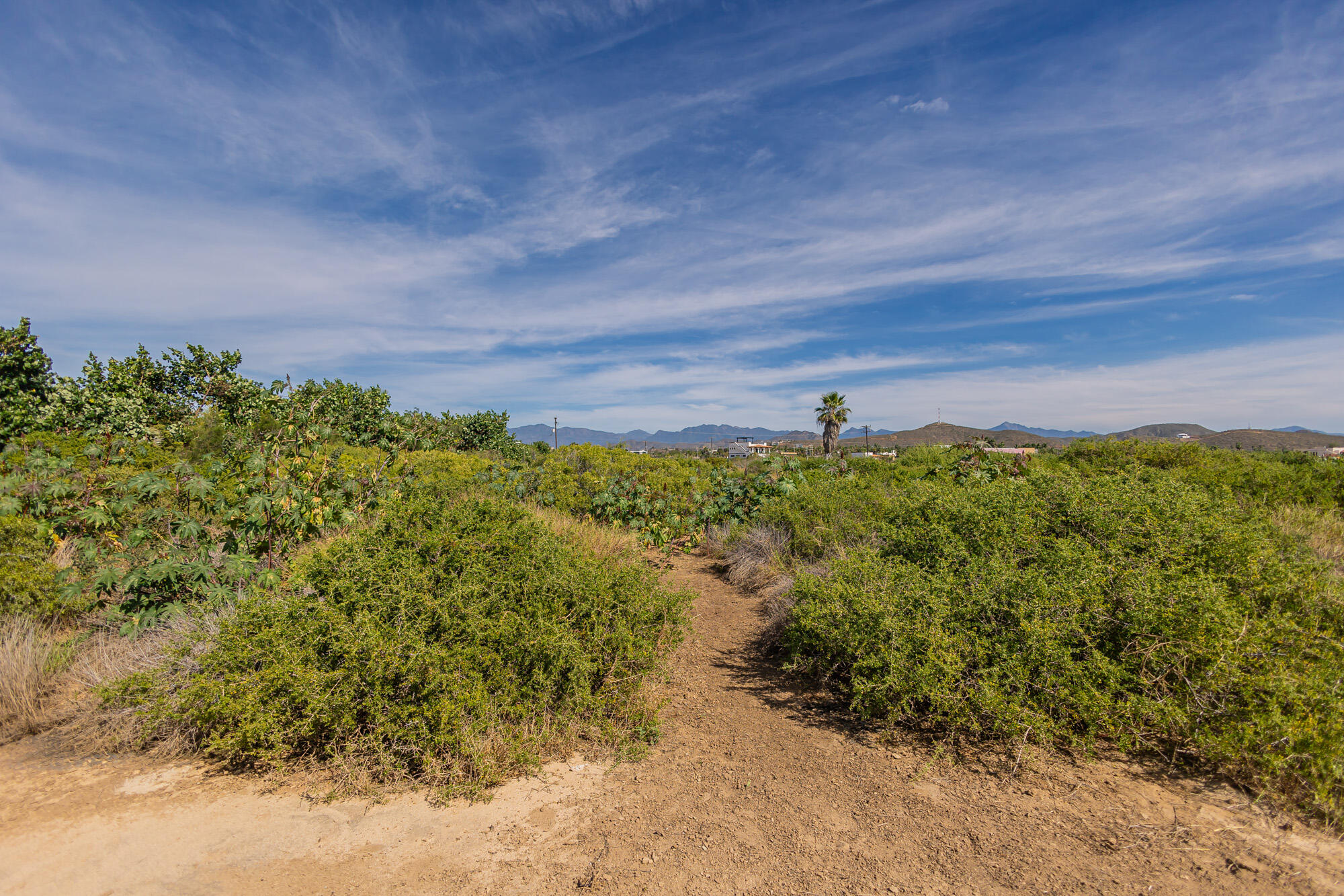 Costa del Pacifico Beachfront