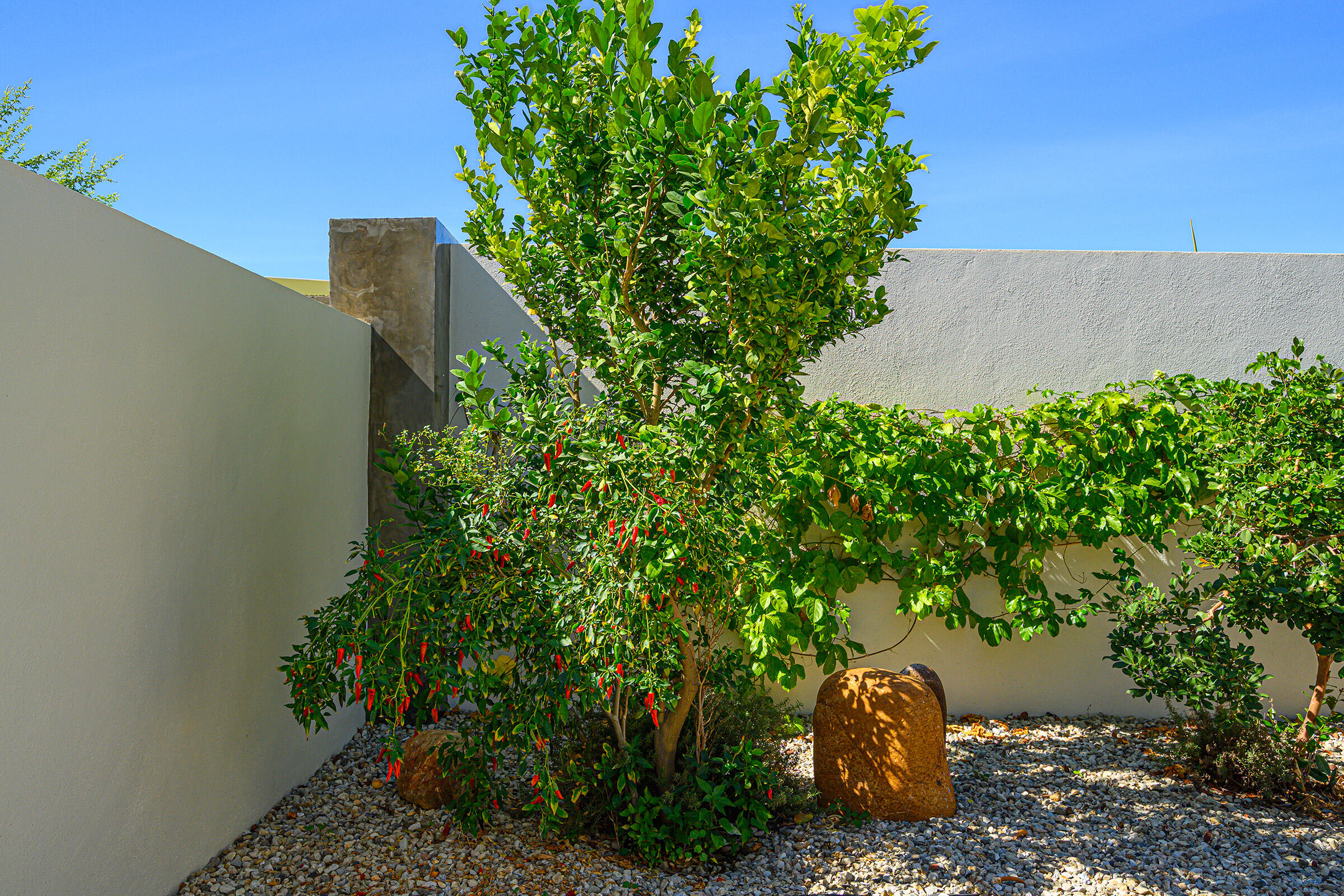 Lote 129, Casa Viju