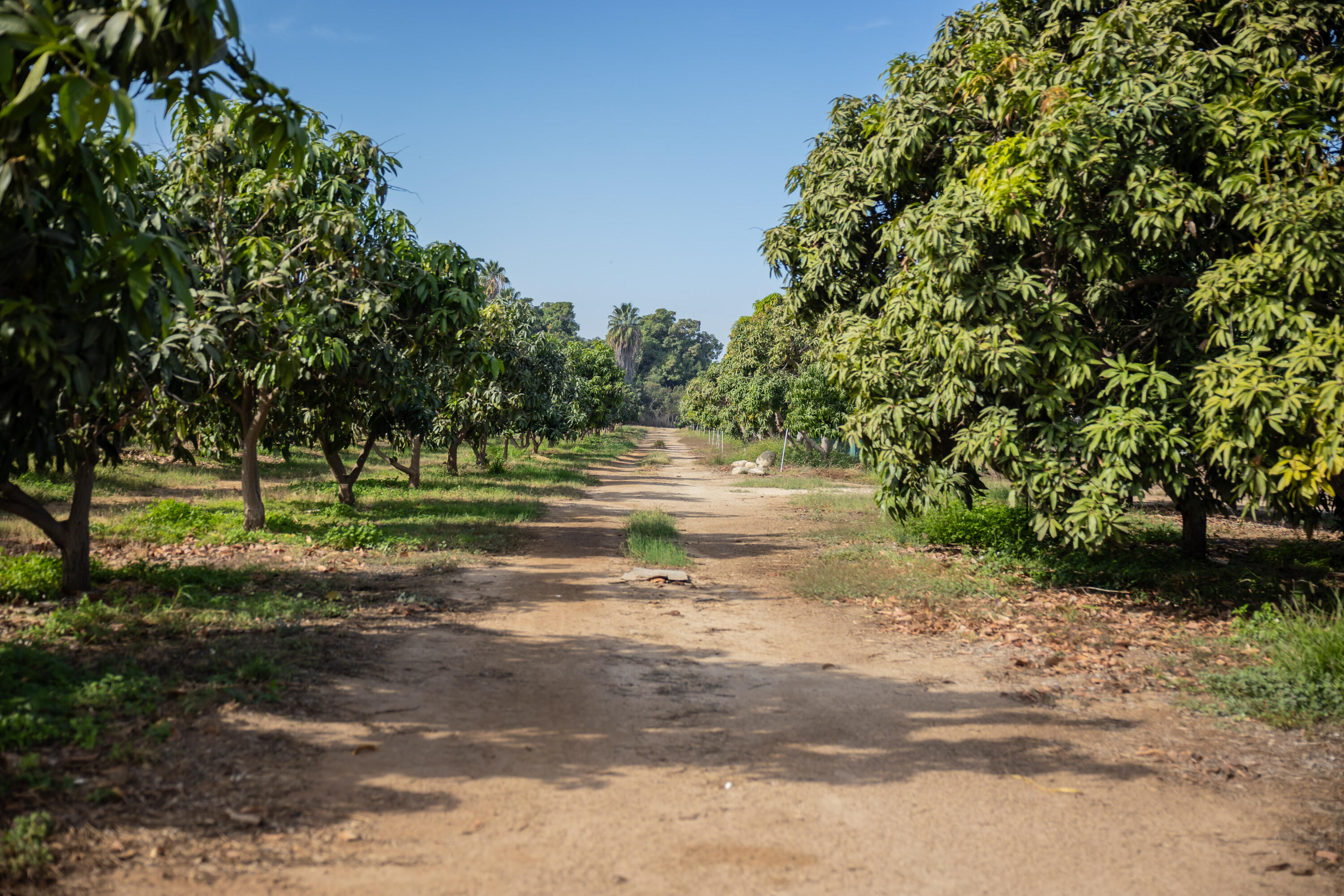 HighWay 19 Todos Santos -Los Cabos, Rancho Las Marias