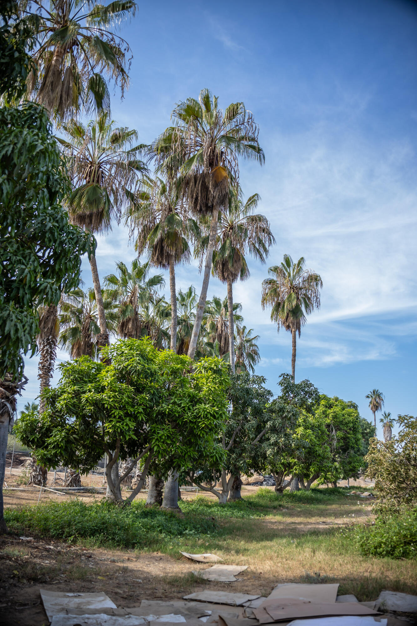 HighWay 19 Todos Santos -Los Cabos, Rancho Las Marias