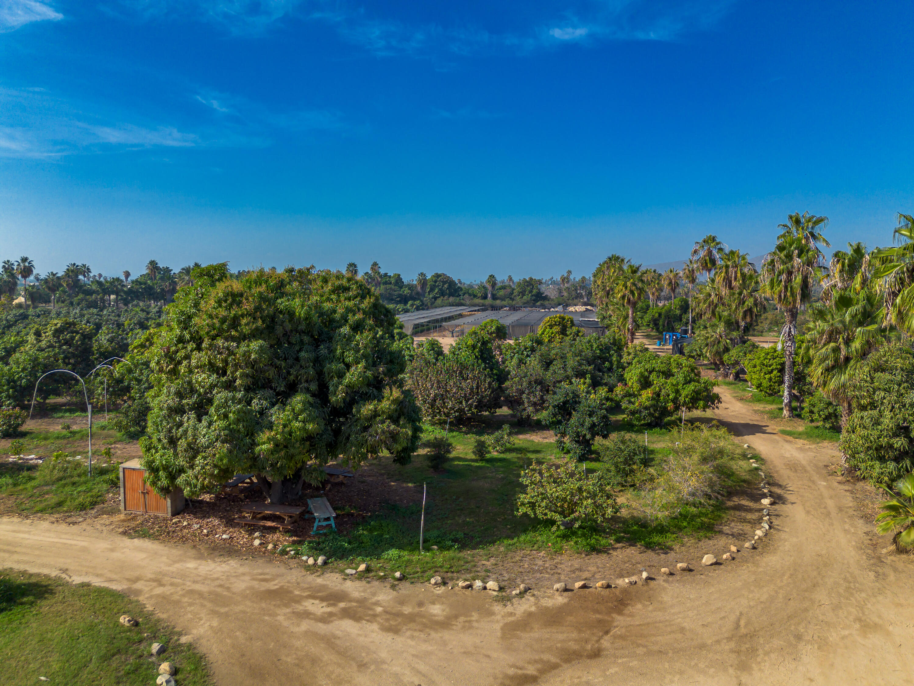 HighWay 19 Todos Santos -Los Cabos, Rancho Las Marias