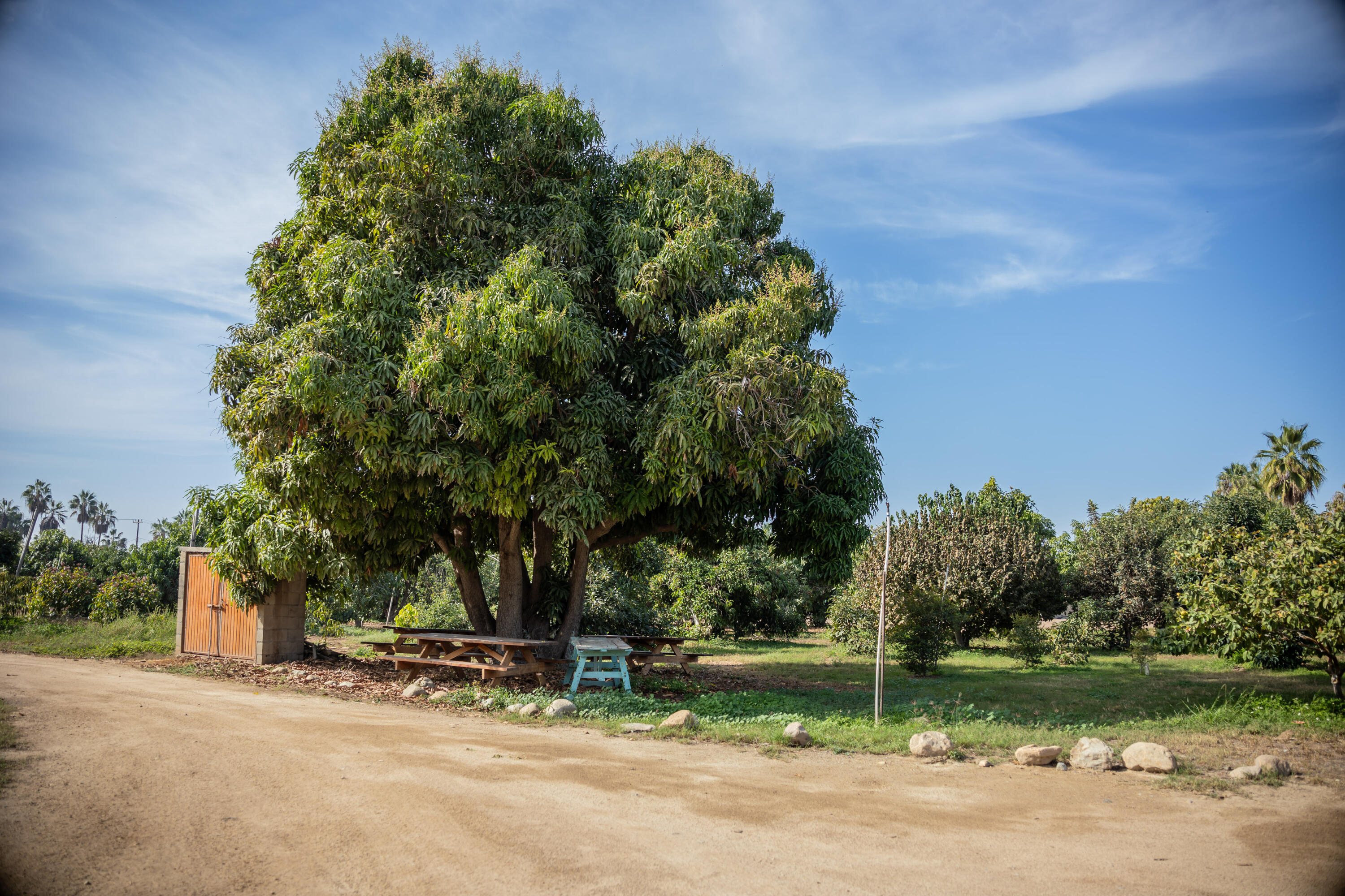 HighWay 19 Todos Santos -Los Cabos, Rancho Las Marias
