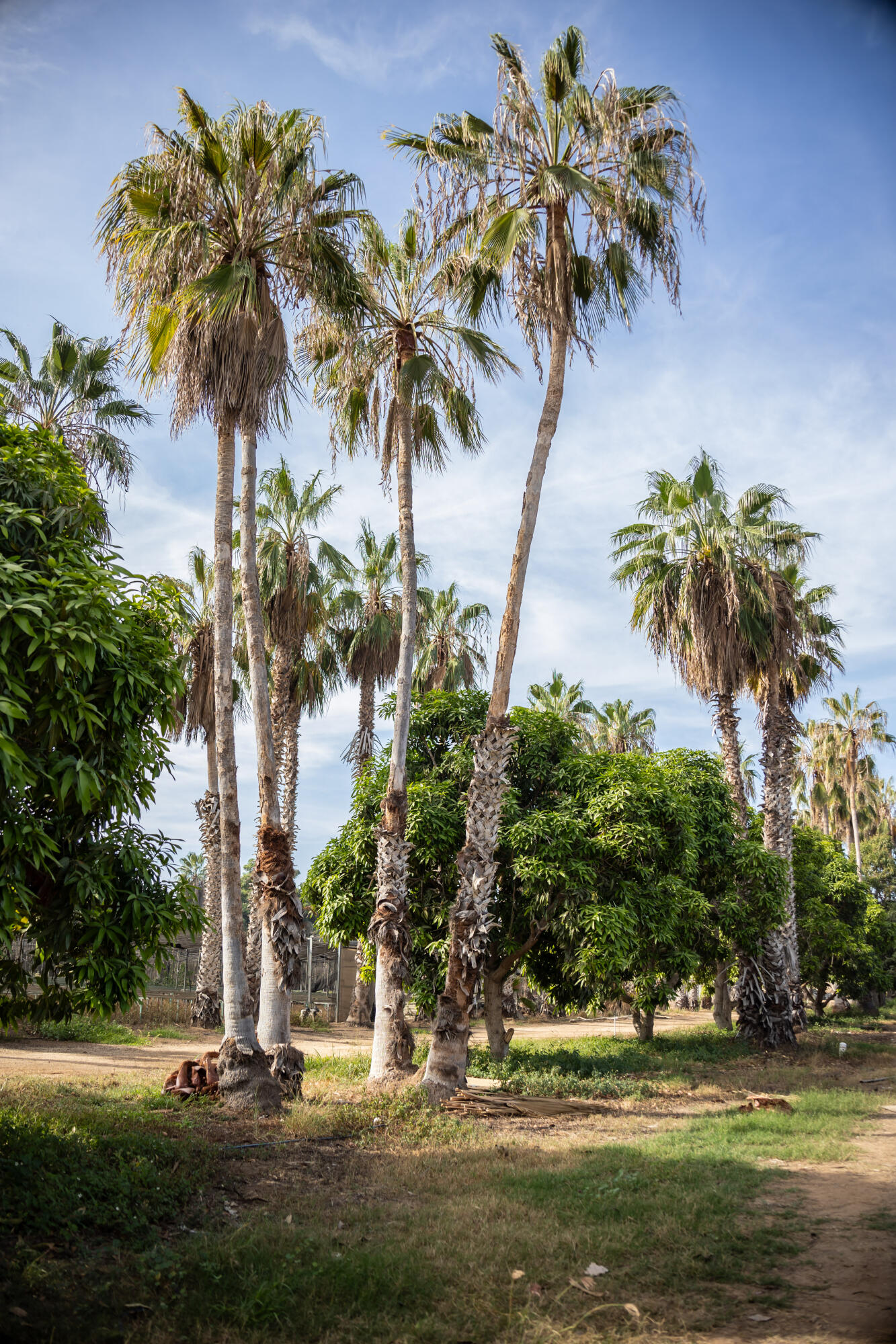 HighWay 19 Todos Santos -Los Cabos, Rancho Las Marias