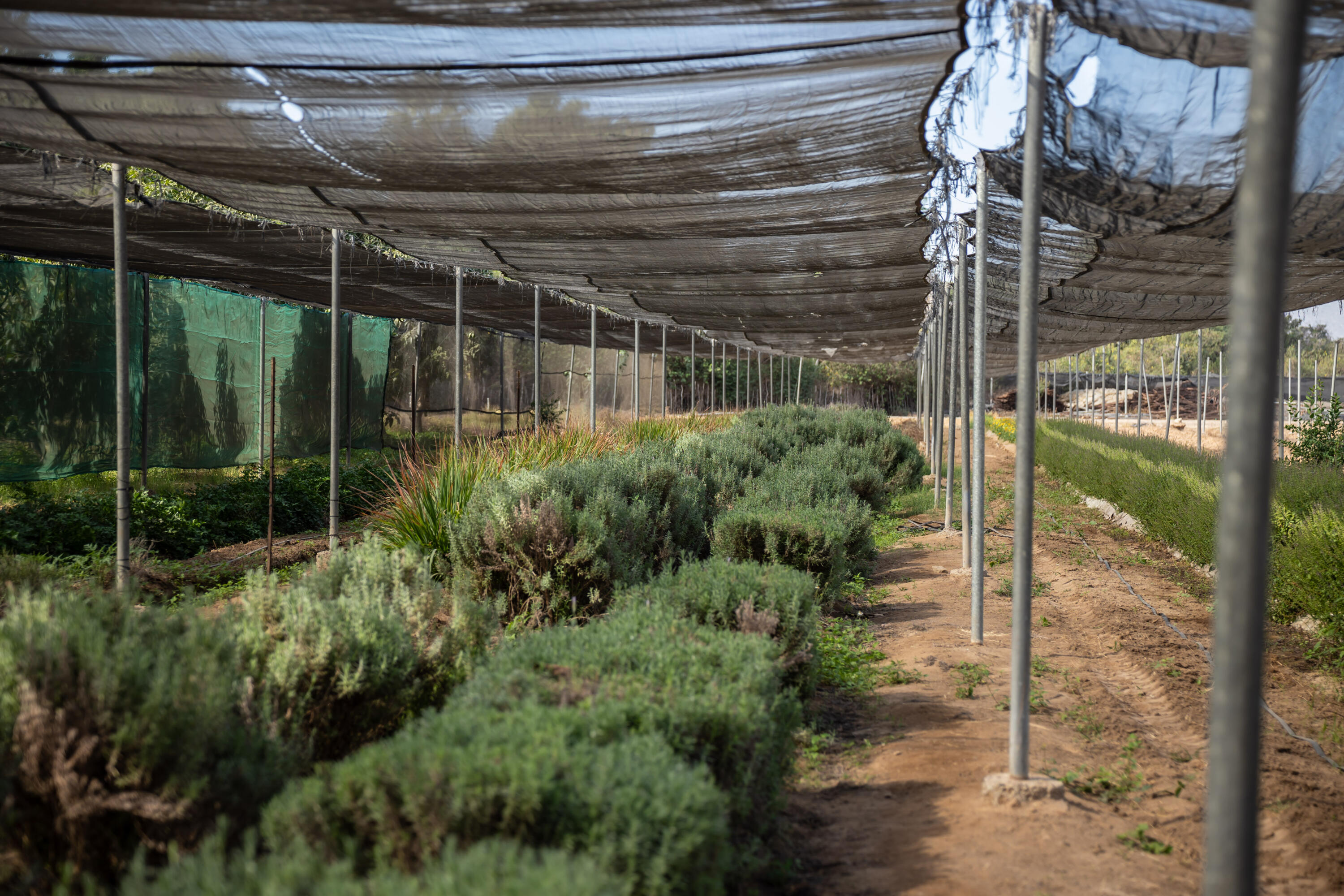 HighWay 19 Todos Santos -Los Cabos, Rancho Las Marias