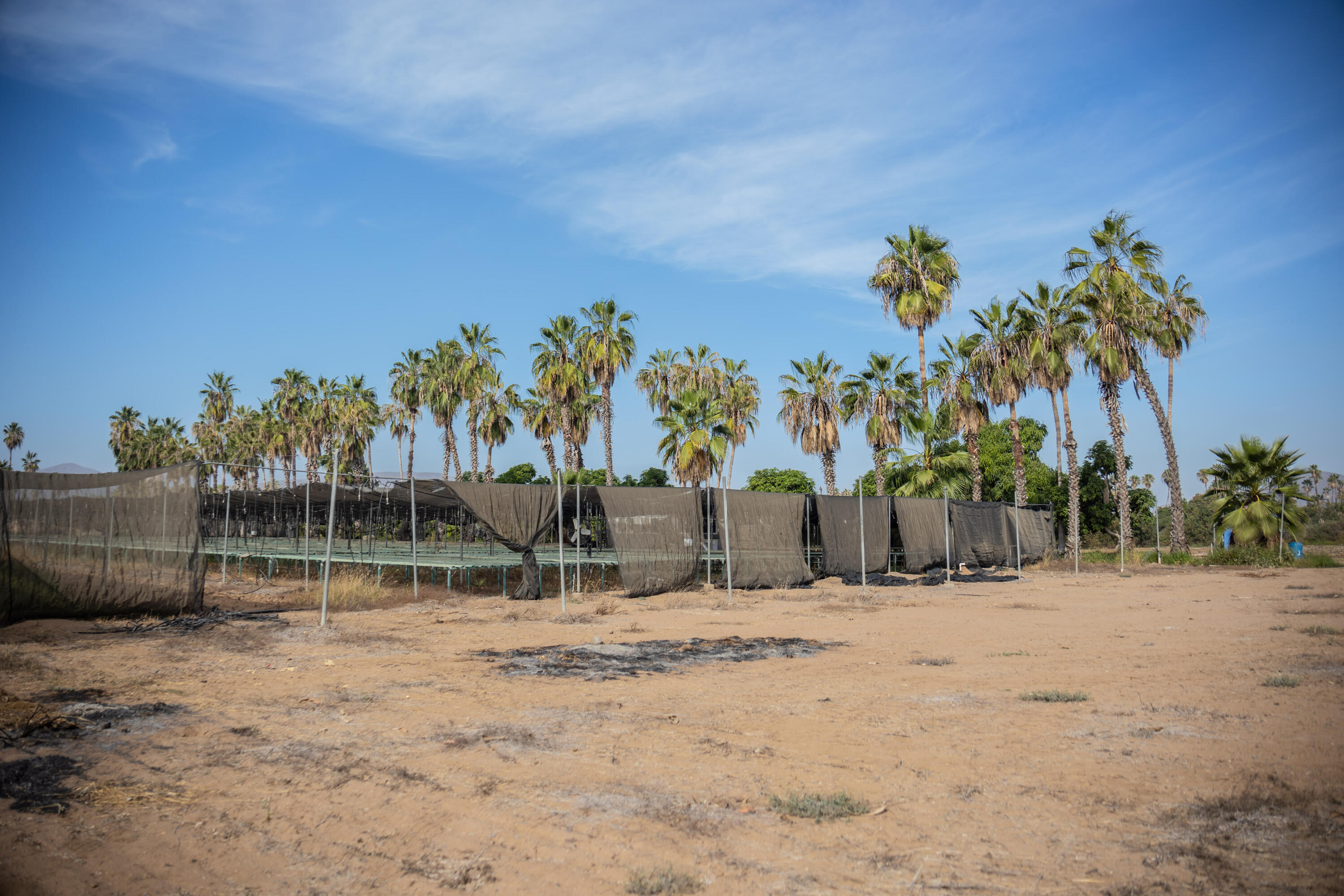 HighWay 19 Todos Santos -Los Cabos, Rancho Las Marias