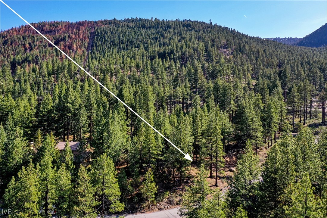 1205 Douglas Fir Drive