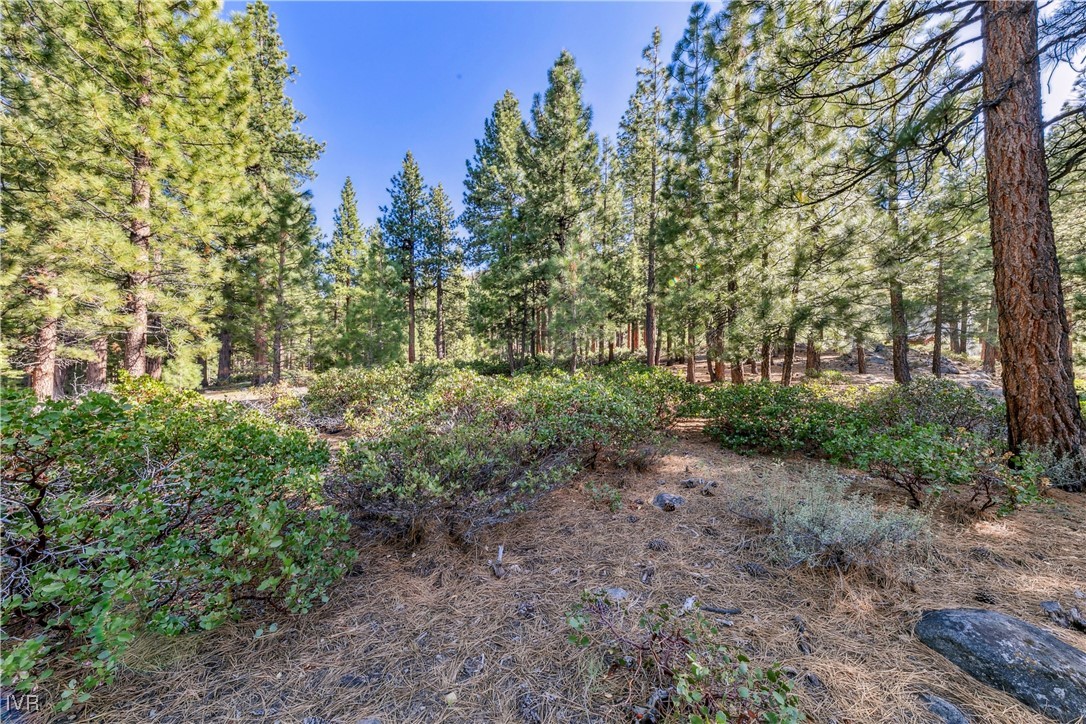 1205 Douglas Fir Drive