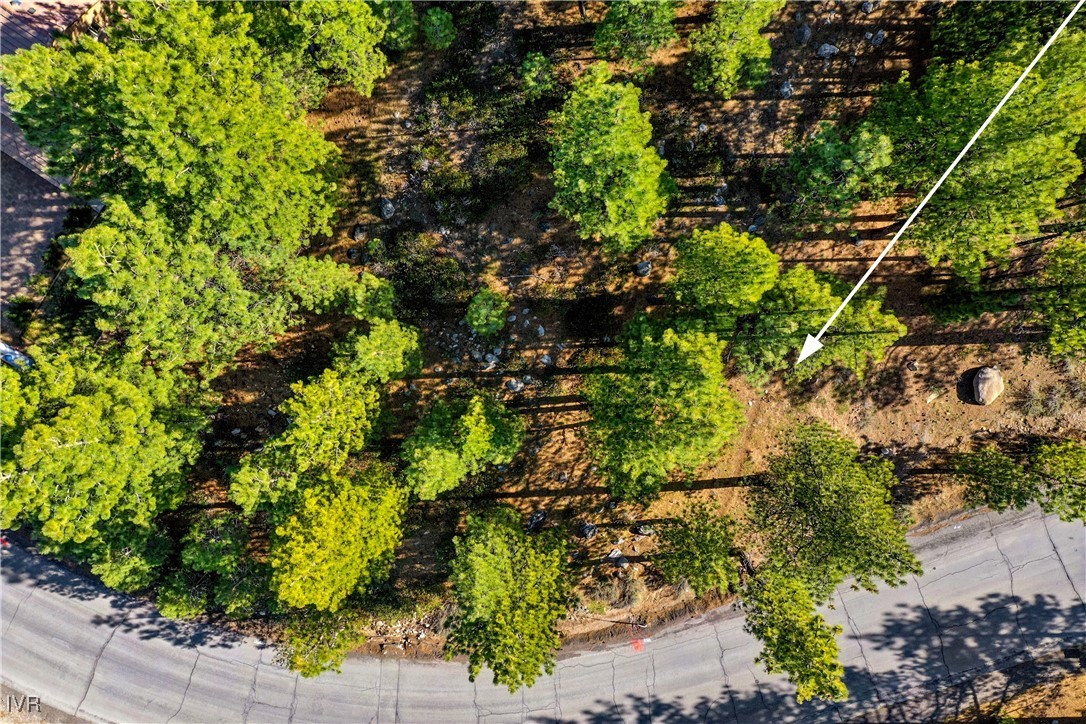 1205 Douglas Fir Drive