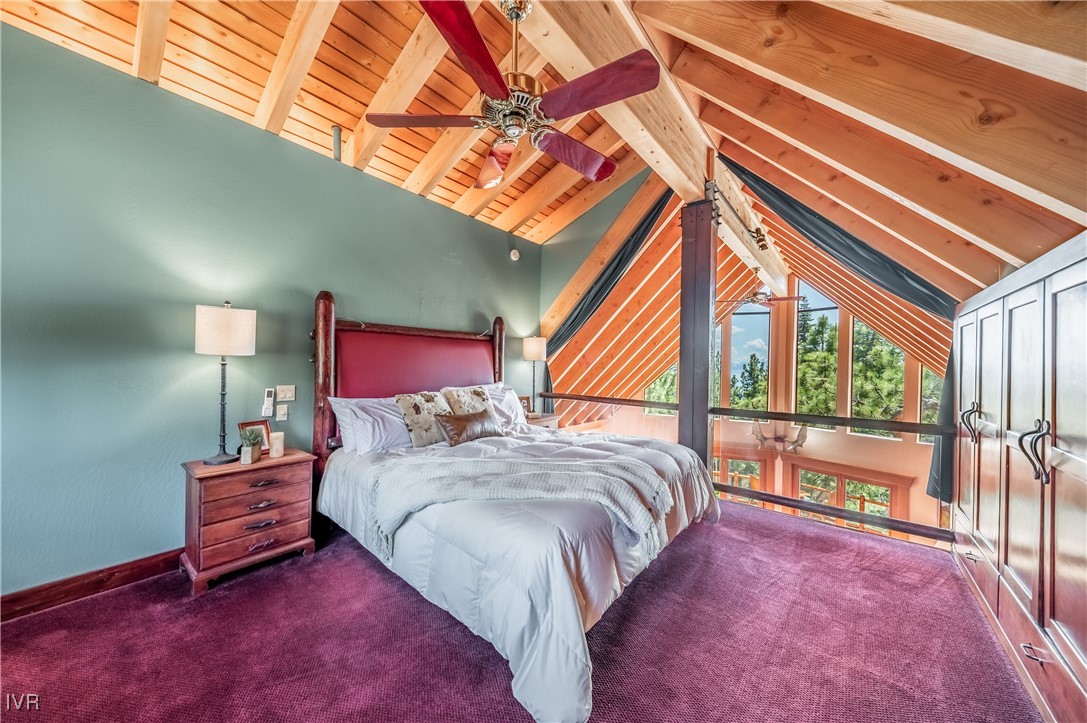 698 Saddlehorn Drive
