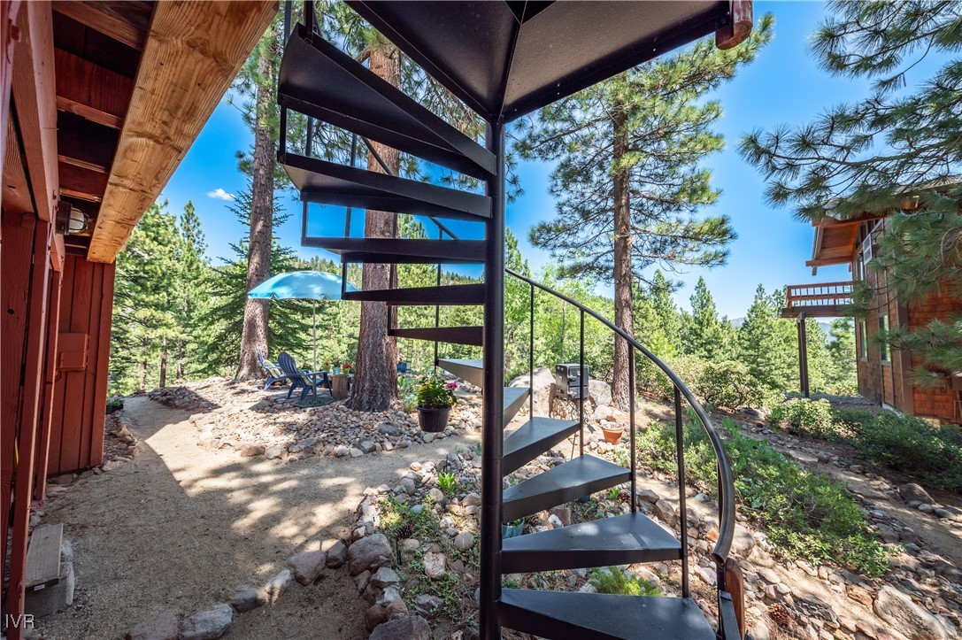 698 Saddlehorn Drive