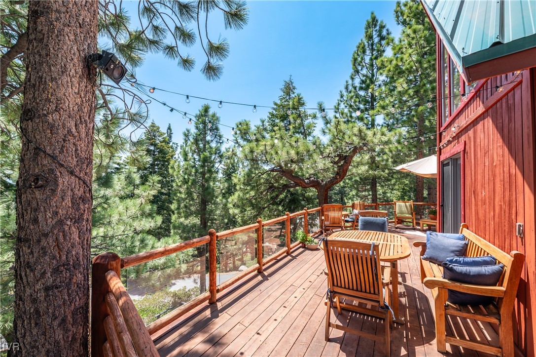698 Saddlehorn Drive