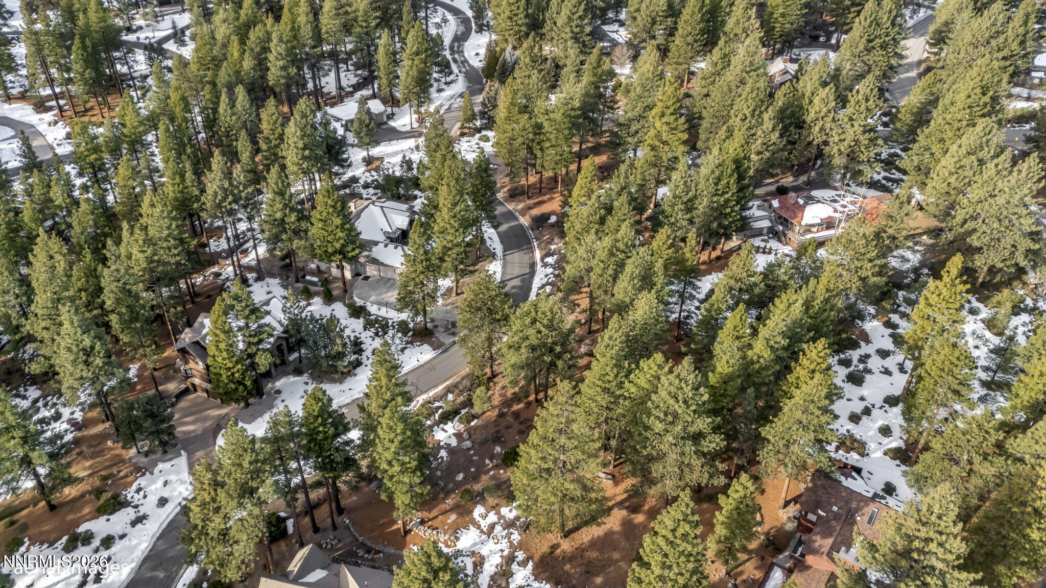 307 E Jeffrey Pine Road