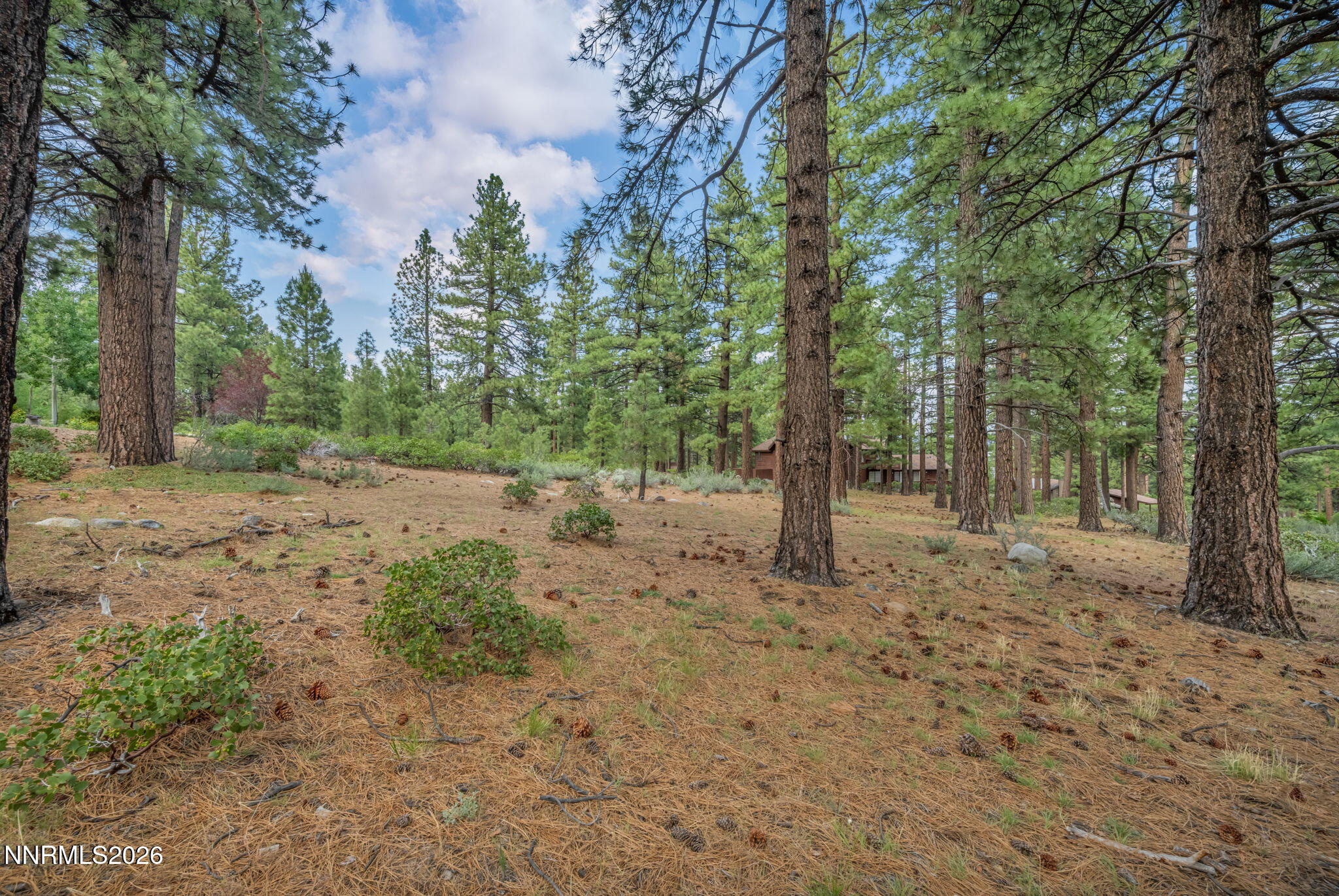 307 E Jeffrey Pine Road