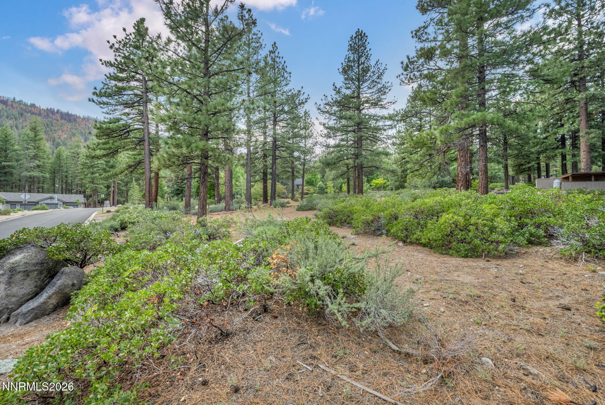 307 E Jeffrey Pine Road