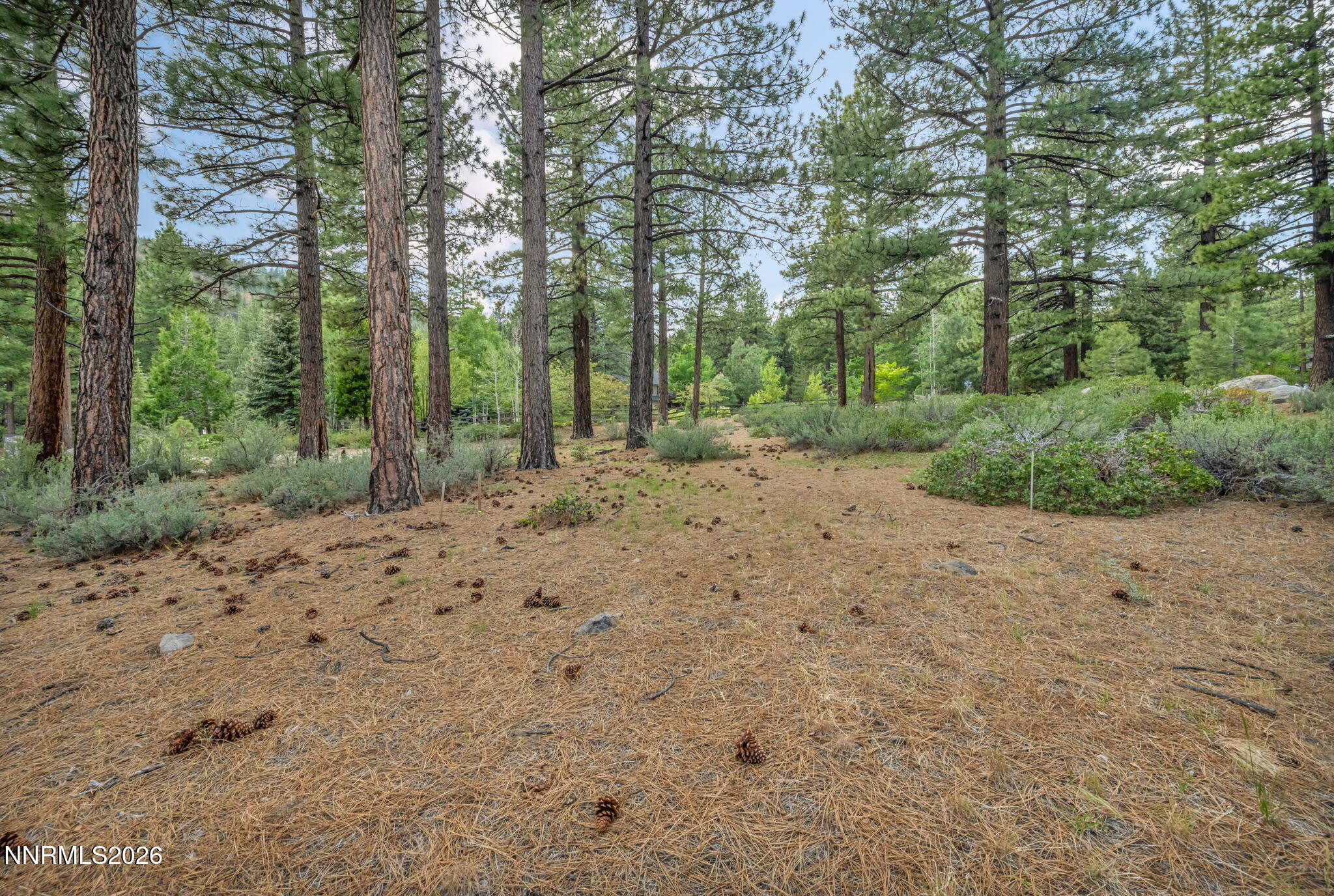 307 E Jeffrey Pine Road