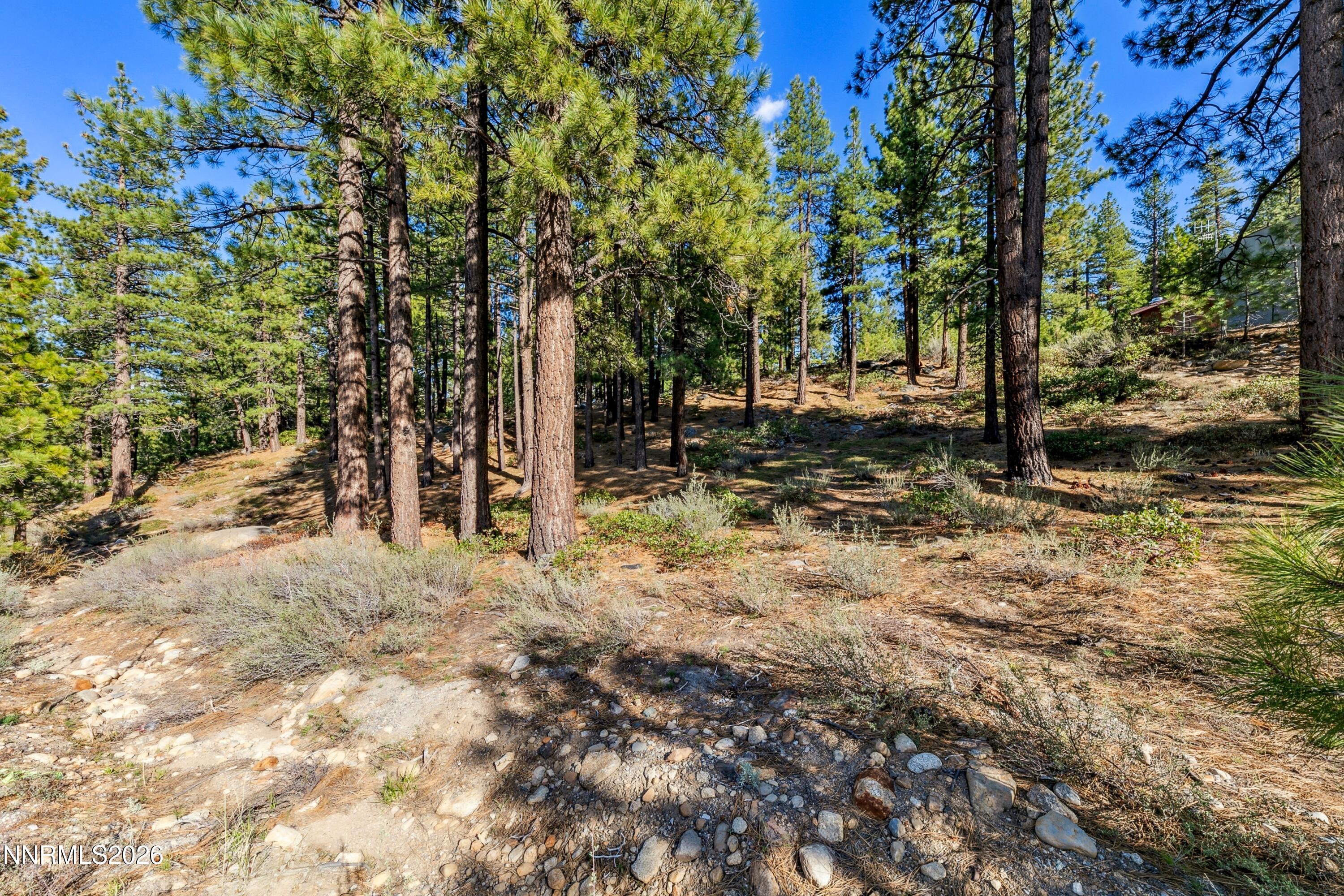 1205 Douglas Fir Drive, 1