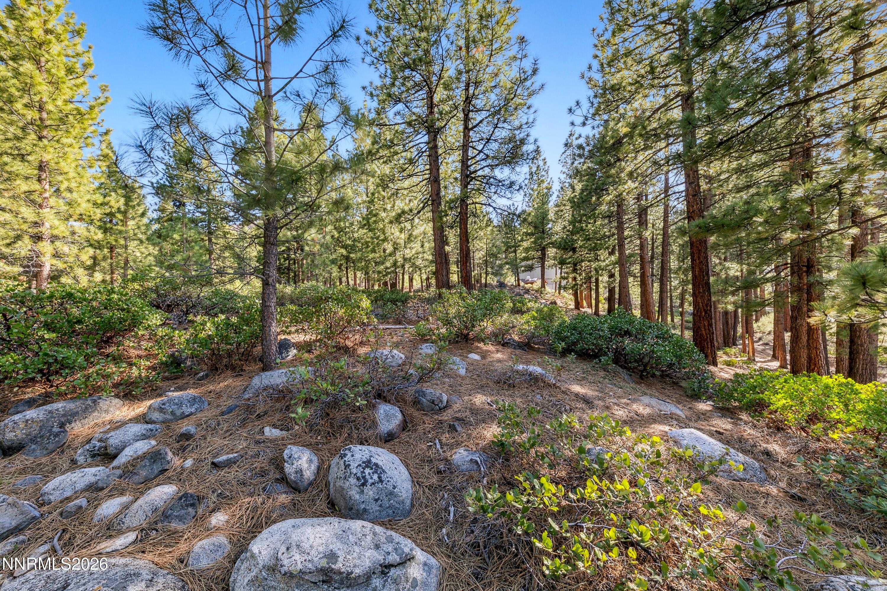 1205 Douglas Fir Drive, 1