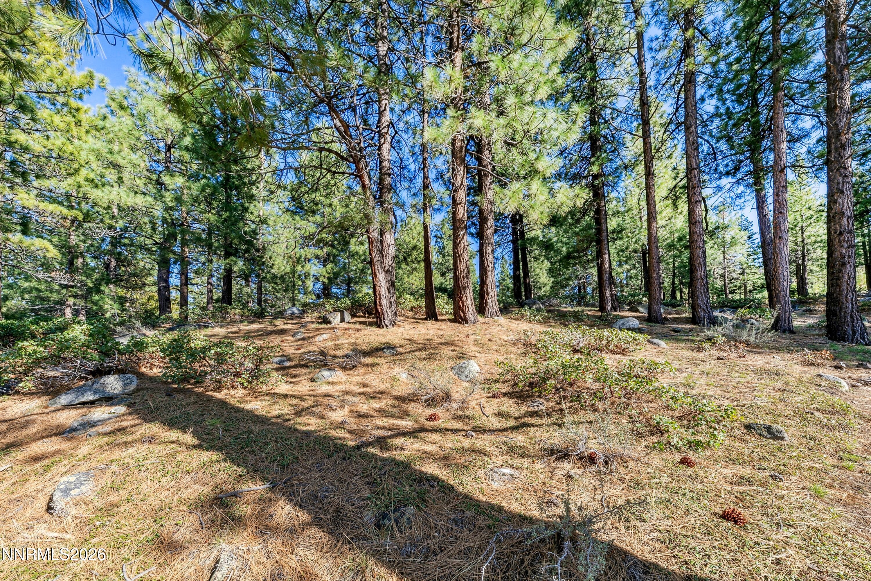 1205 Douglas Fir Drive, 1