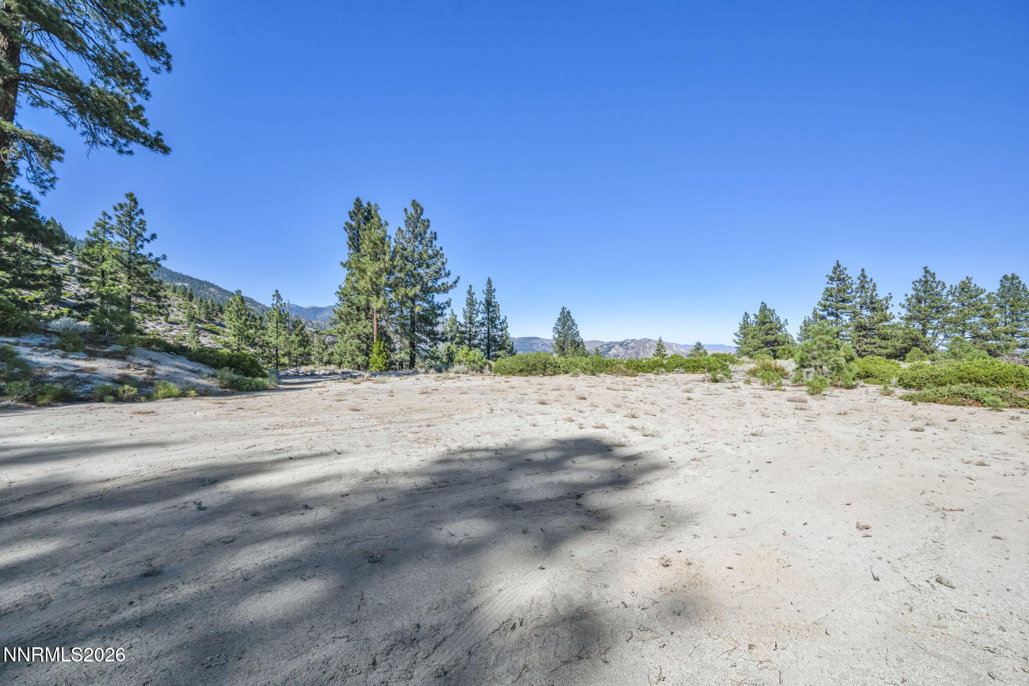 Sandy vacant lot bordered by pine trees, with mountain ridges in the distance.