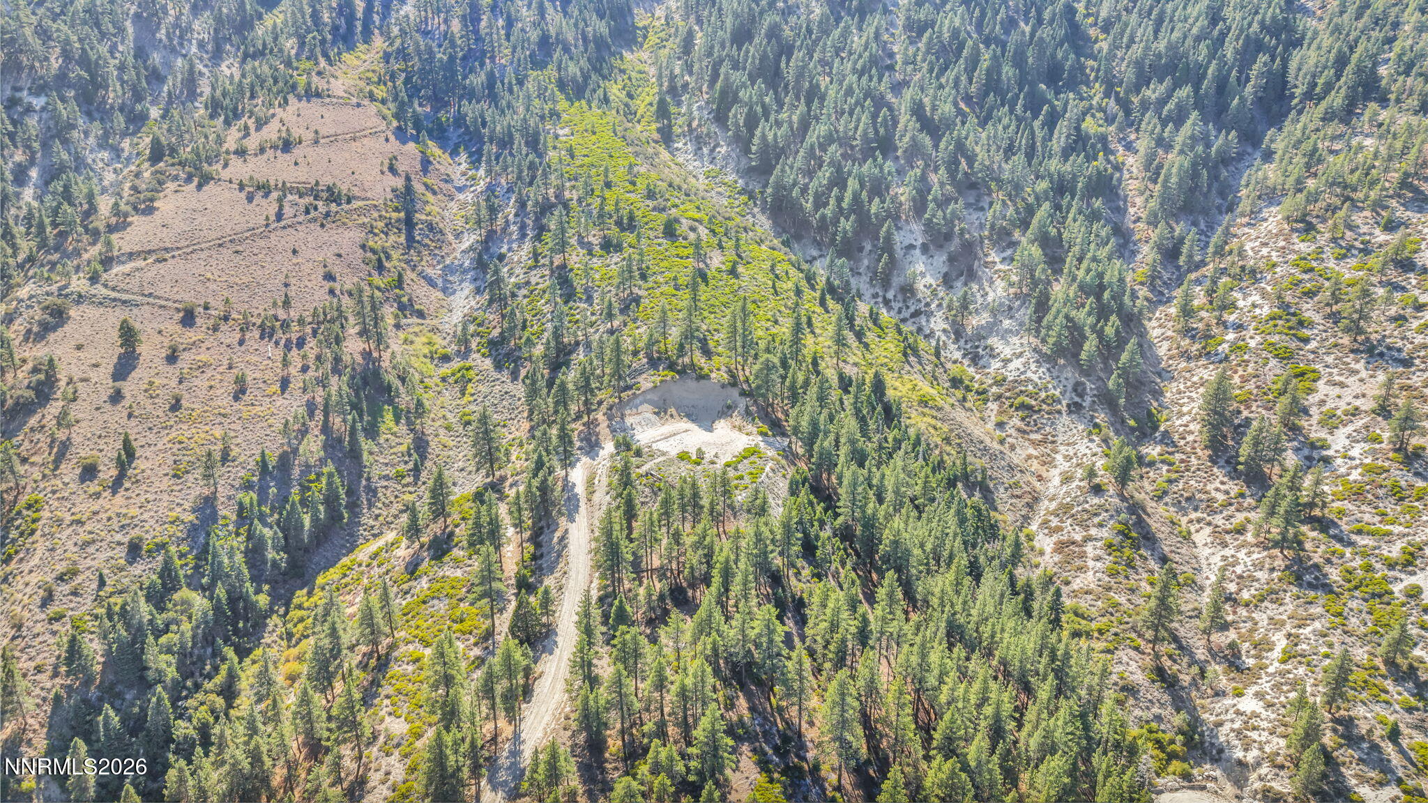 Aerial view of rugged, pine-covered mountain land with a dirt road and cleared area.