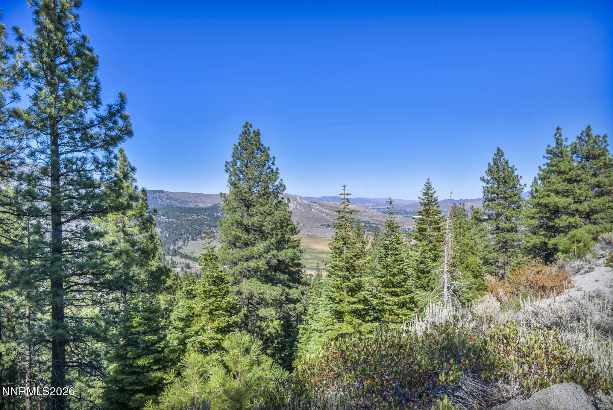 Mountain valley view framed by evergreen pines, with distant ridges beneath a clear blue sky.