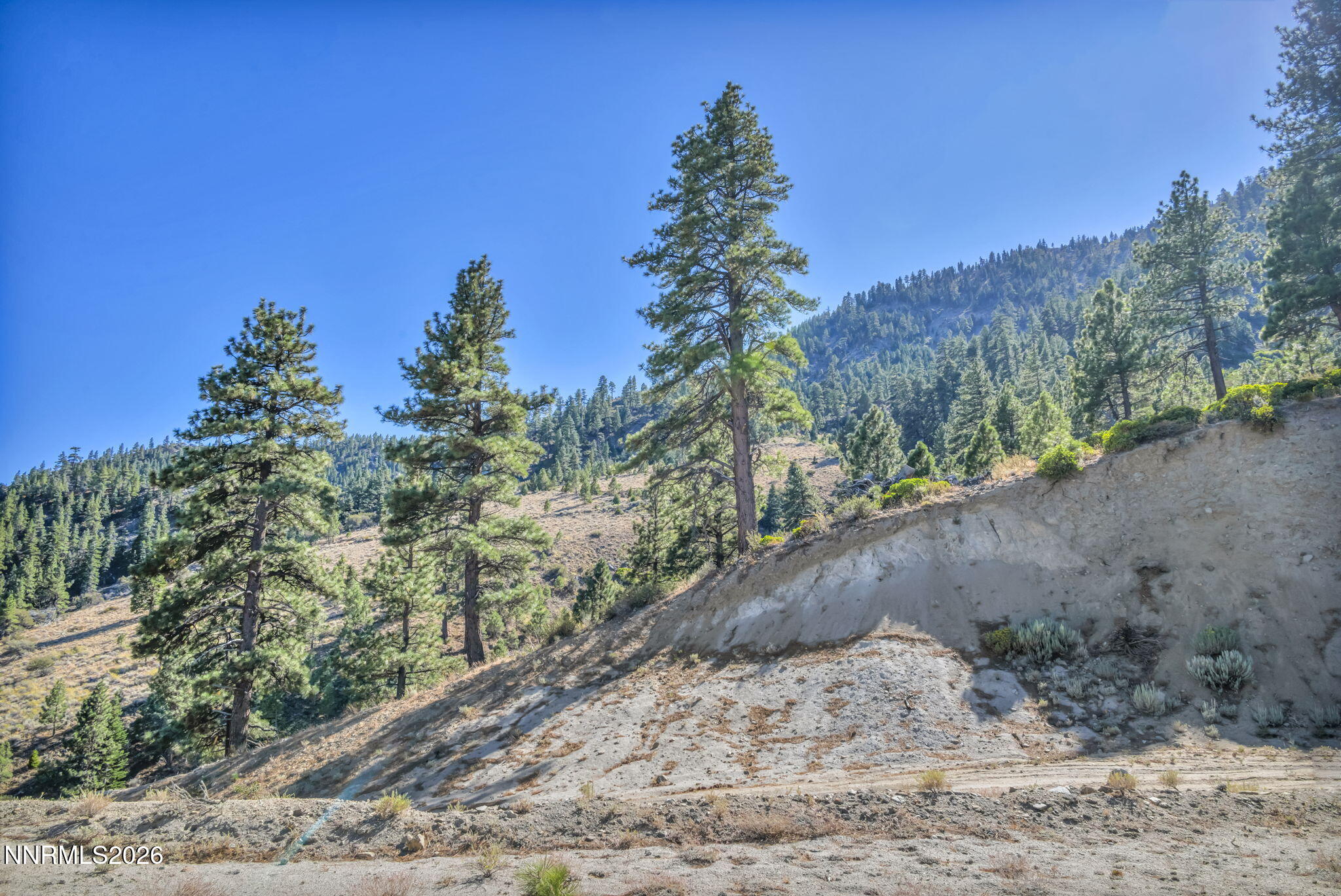 Steep hillside lot with scattered pines and forested mountain slopes beneath a clear blue sky.