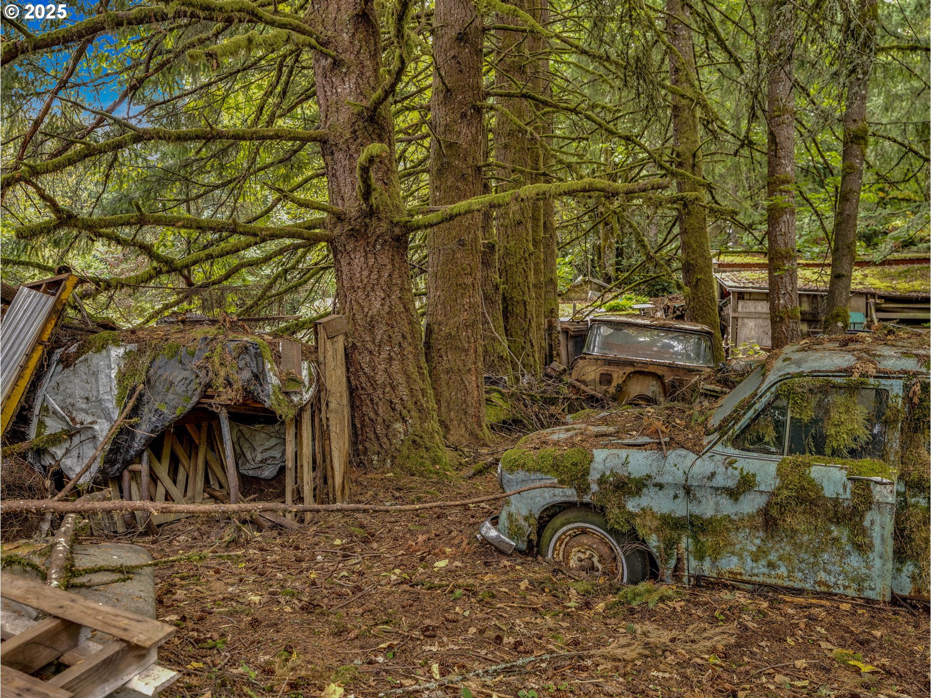 35319 SE HAUGLUM RD, Boring