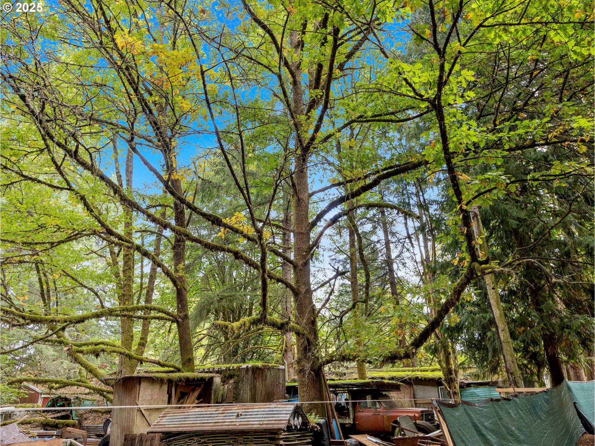 35319 SE HAUGLUM RD, Boring