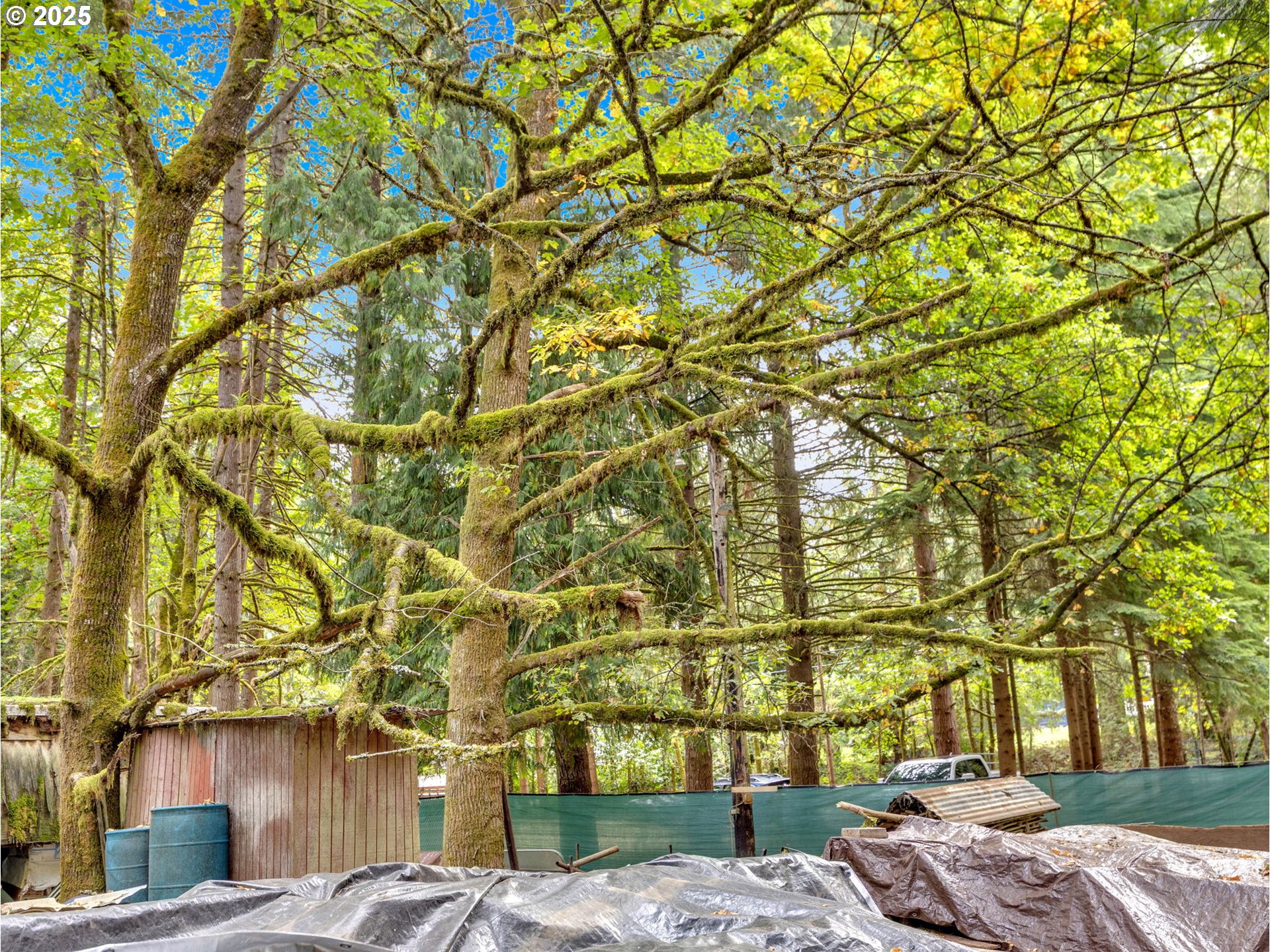 35319 SE HAUGLUM RD, Boring