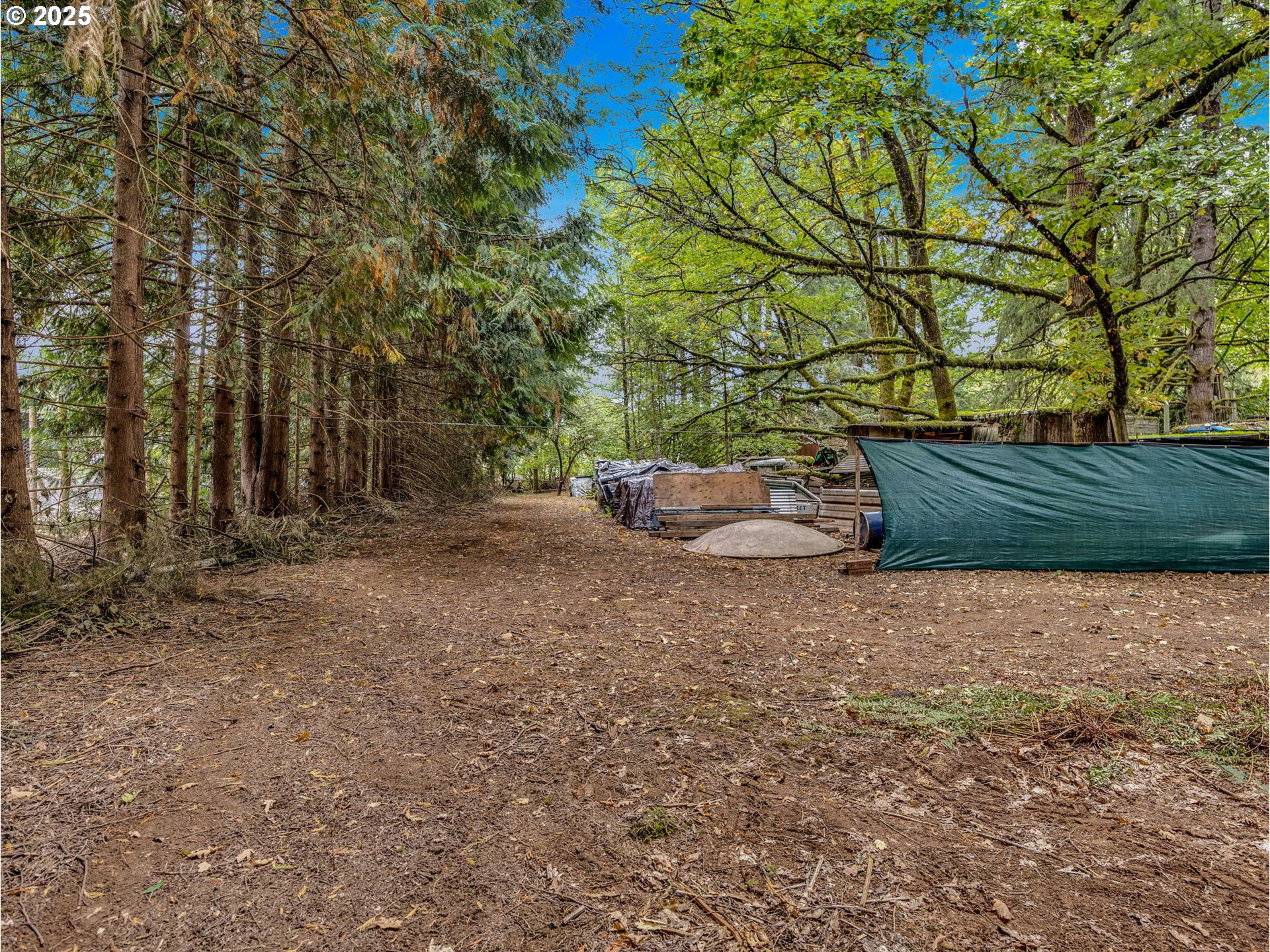 35319 SE HAUGLUM RD, Boring