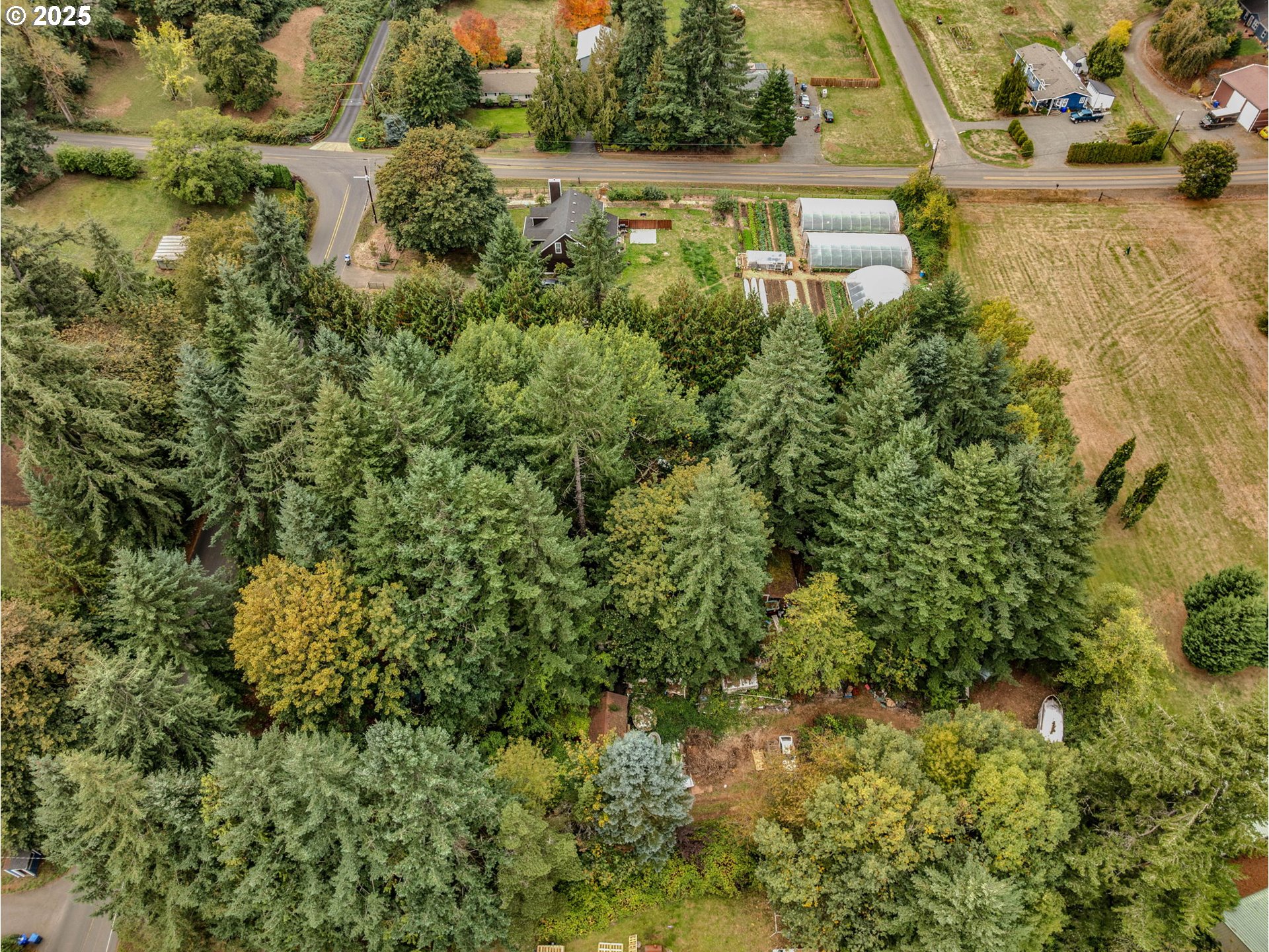 35319 SE HAUGLUM RD, Boring