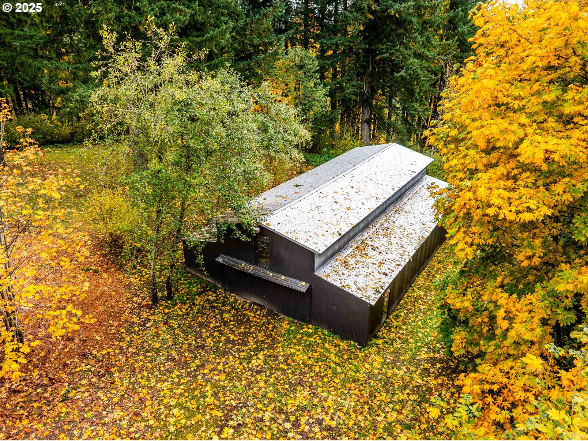 42600 E LARCH MOUNTAIN RD