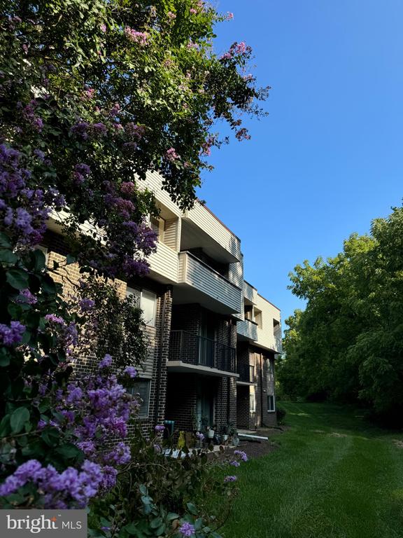 10244 PRINCE PLACE Unit: 21-103