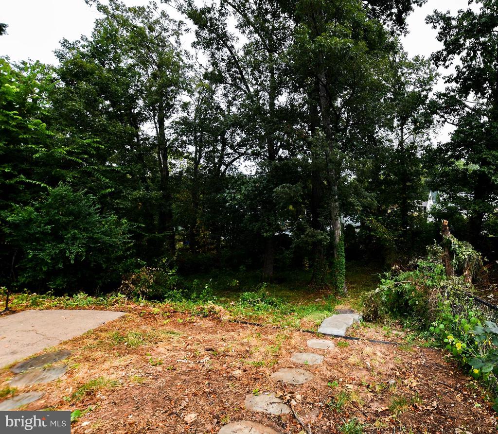 248 MANASSAS DRIVE