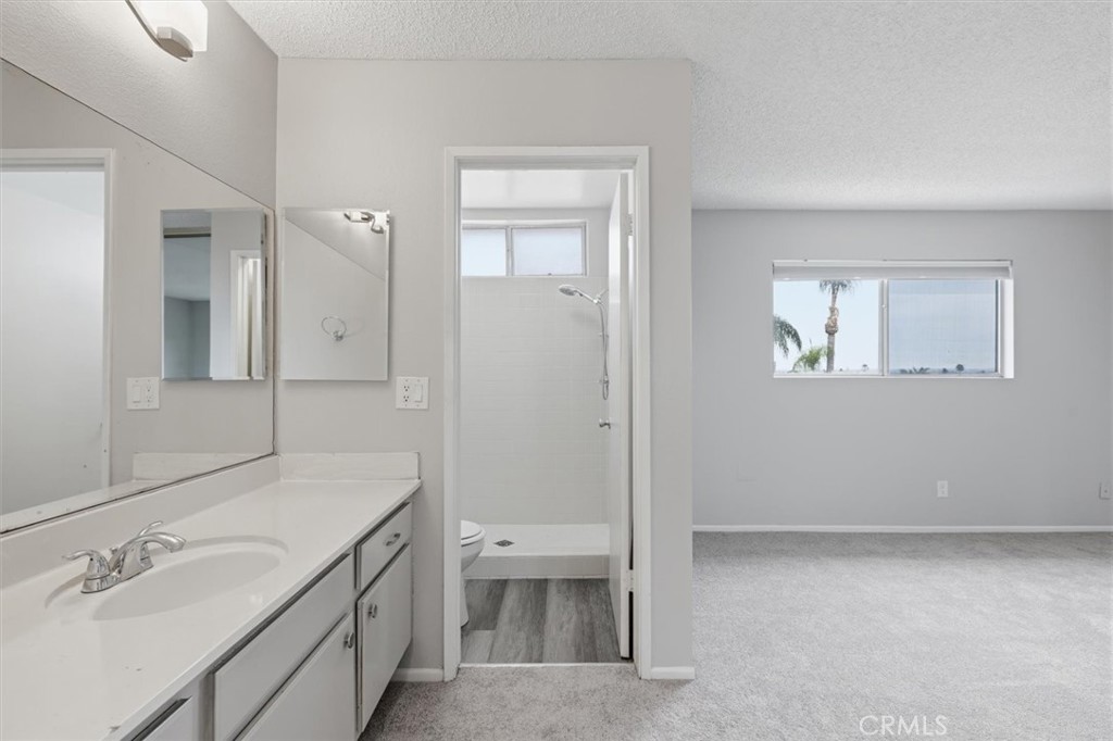 Bathroom with a long mirrored vanity and walk-in shower opening to a carpeted room.