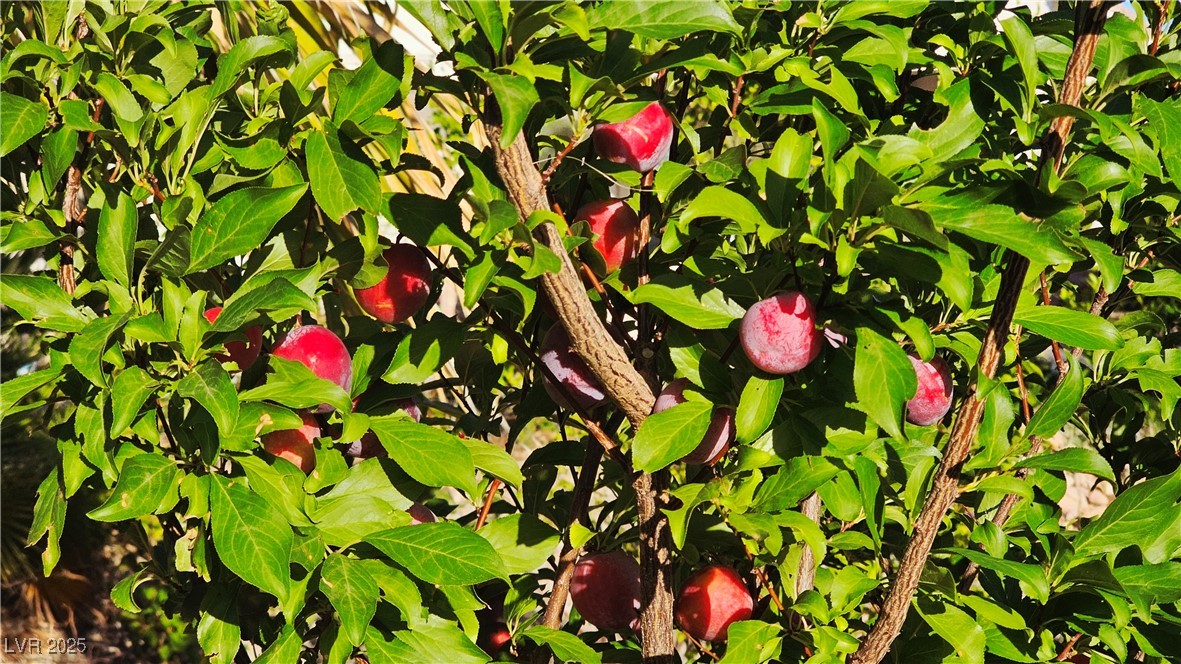 8290 Gagnier Boulevard