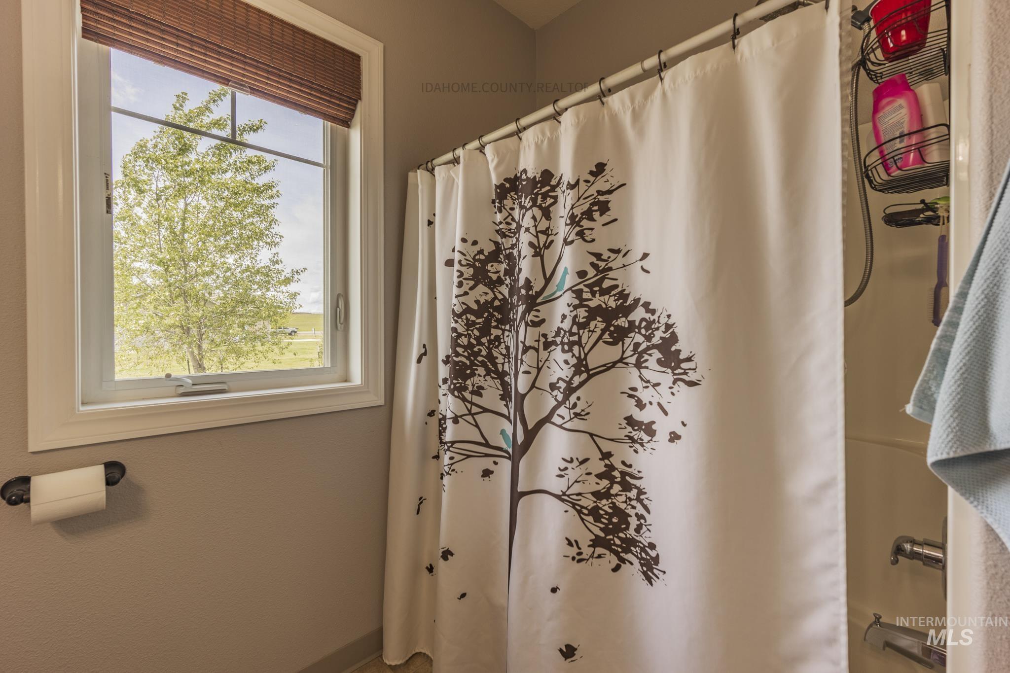 243 Meadow Grass Loop
