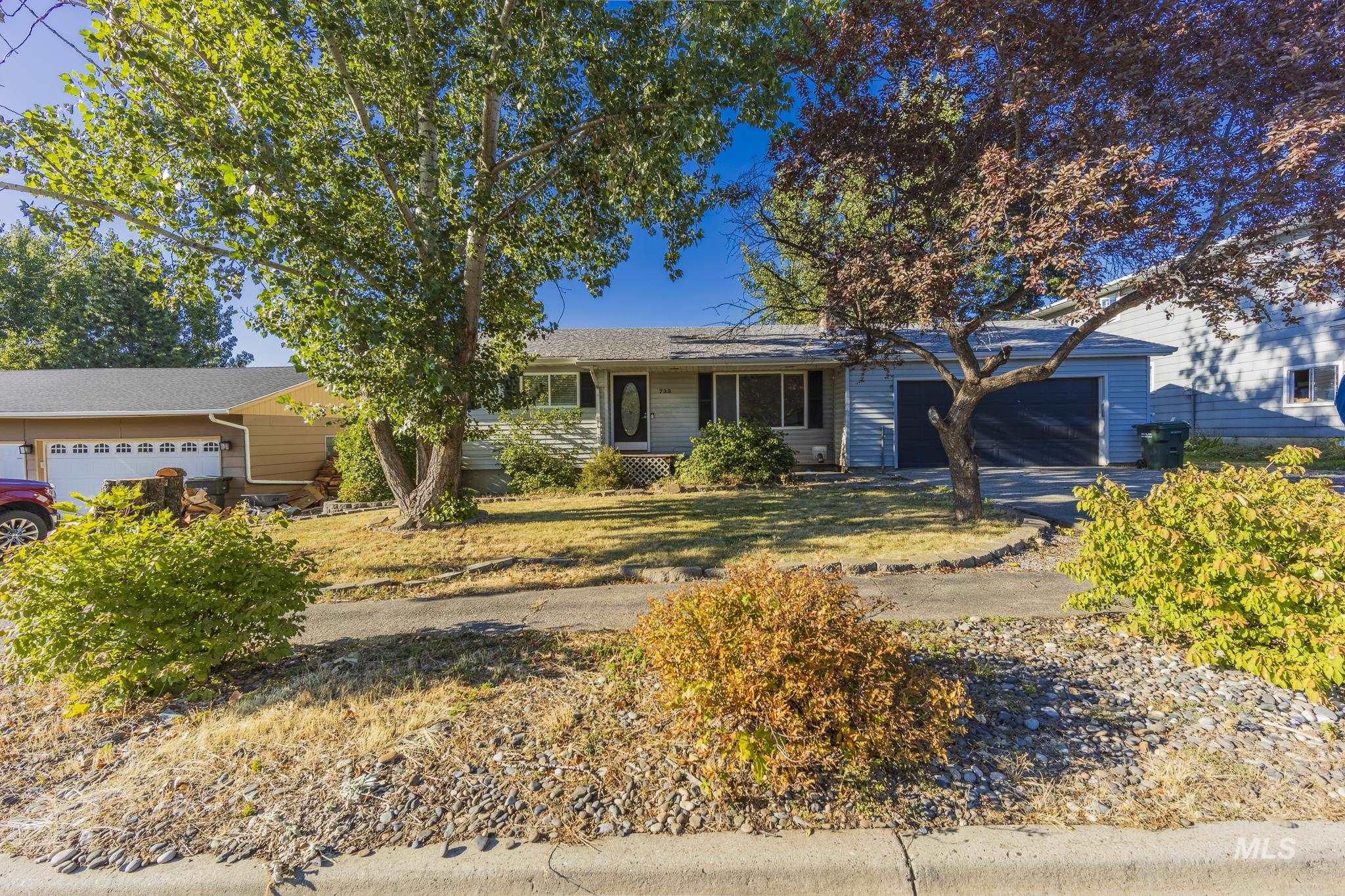 733 Maple Street