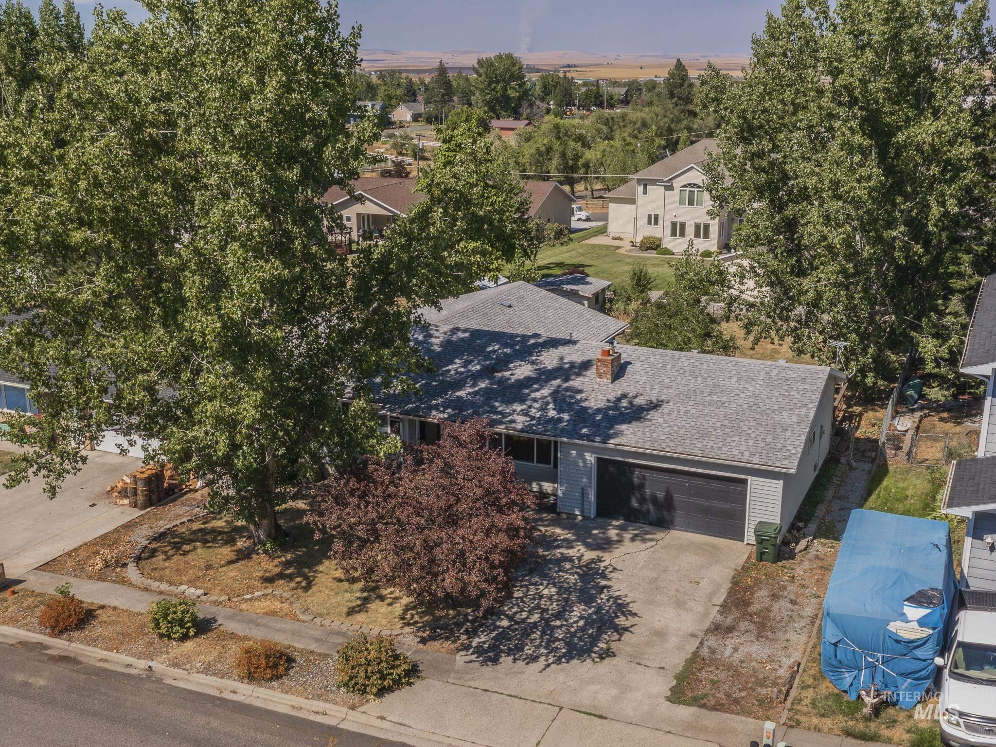 733 Maple Street