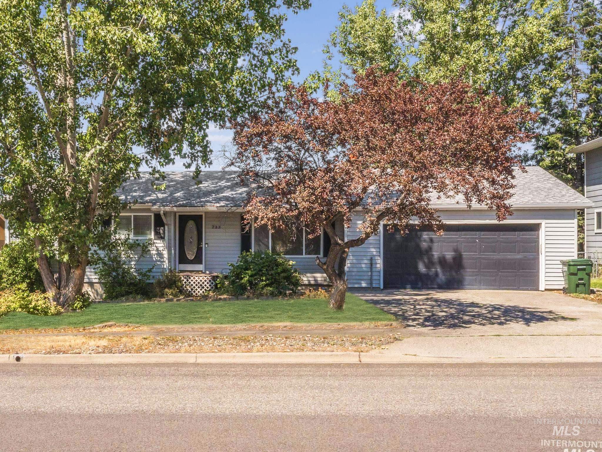 733 Maple Street