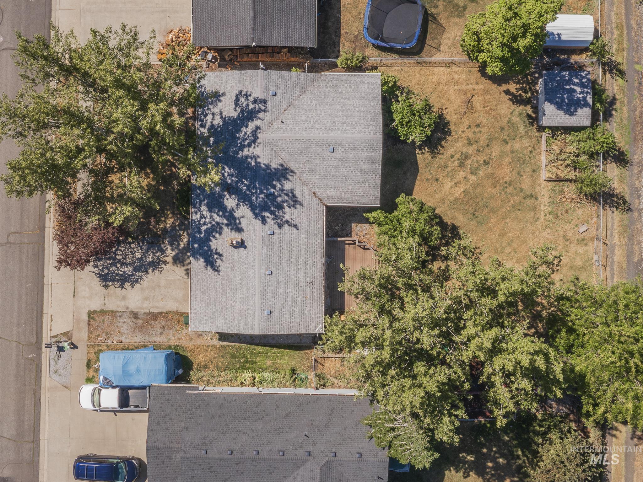 733 Maple Street