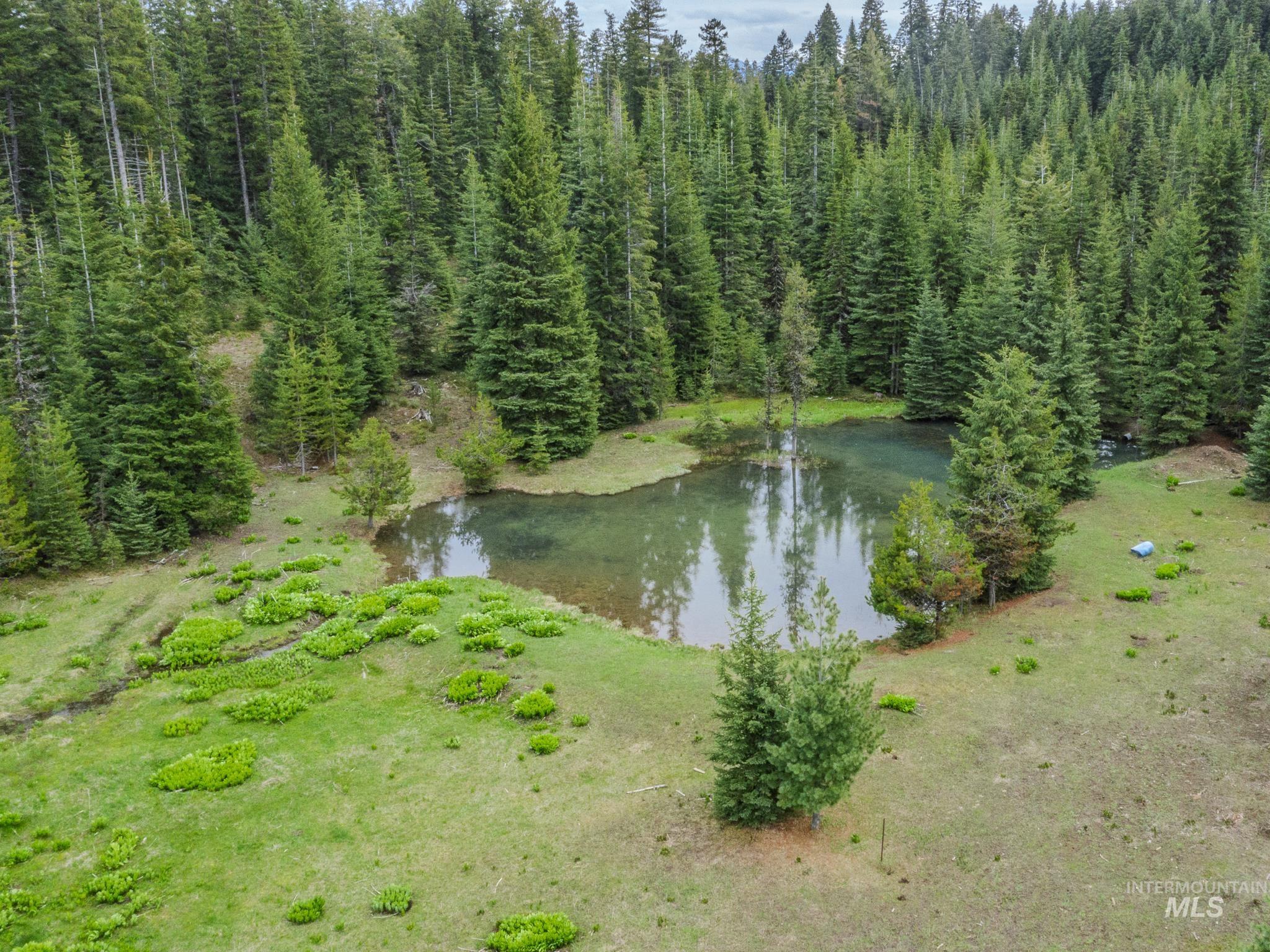 1091 Grangeville Salmon Rd.