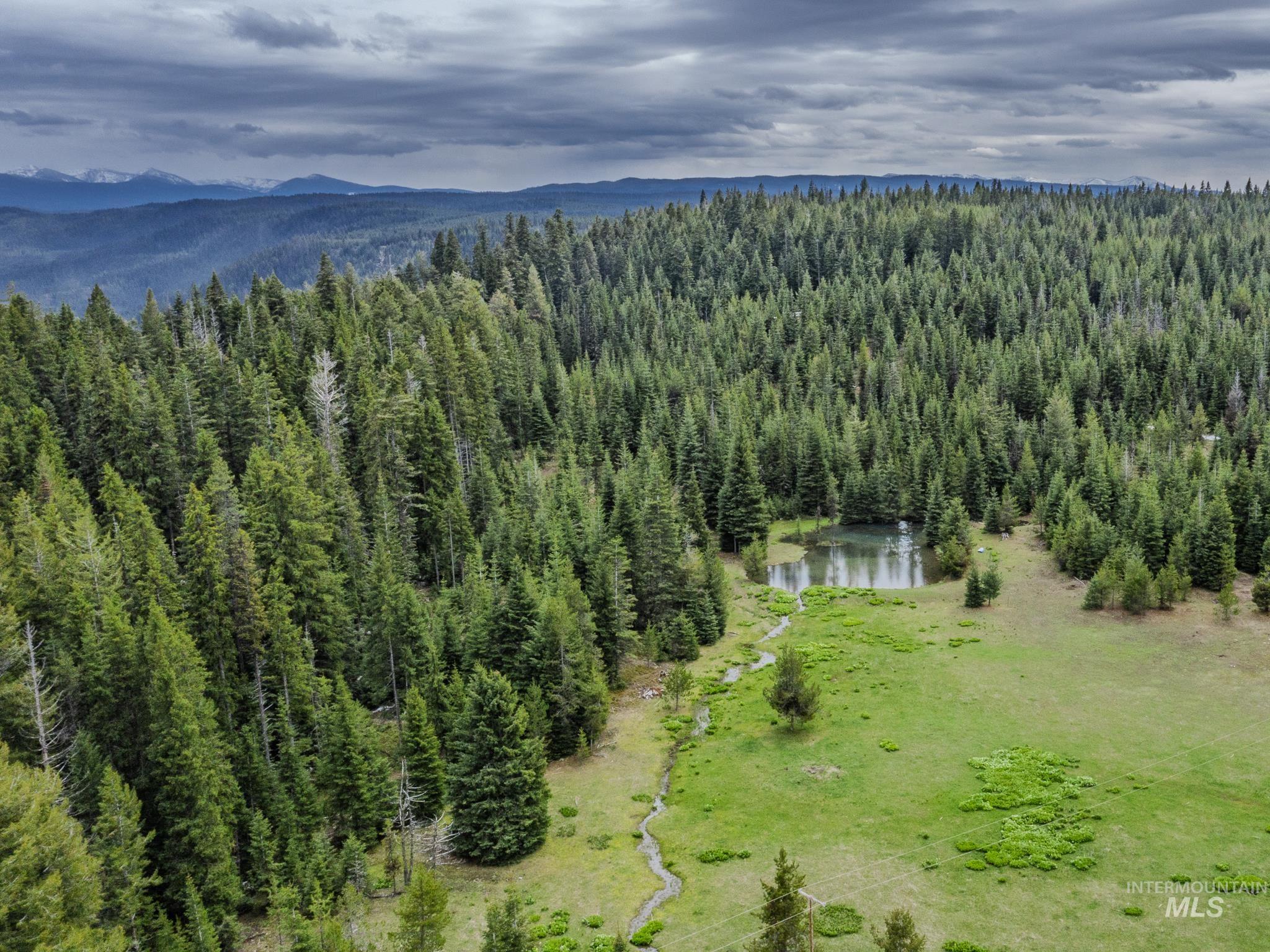 1091 Grangeville Salmon Rd.