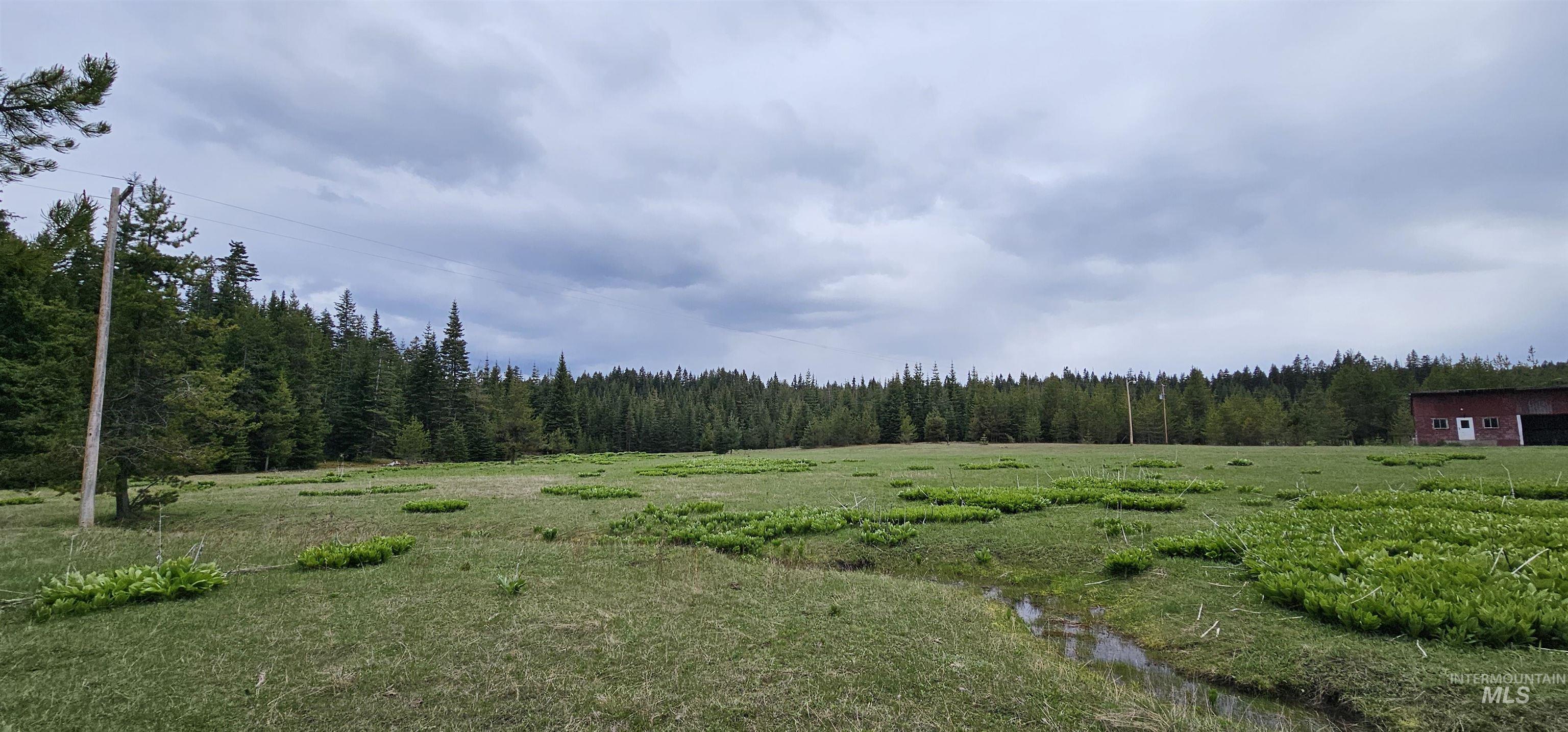 1091 Grangeville Salmon Rd.