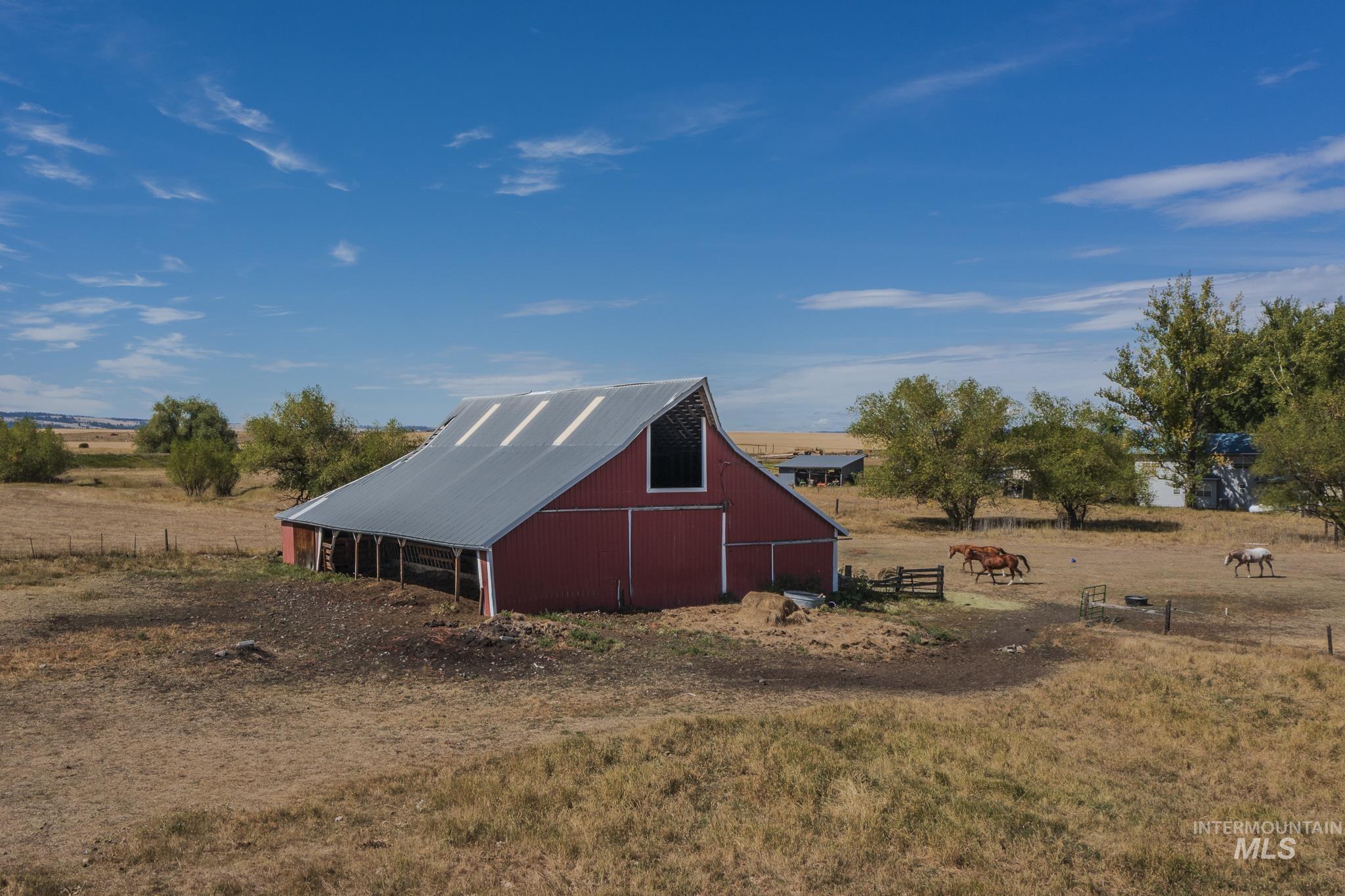 196 Highway 95 North