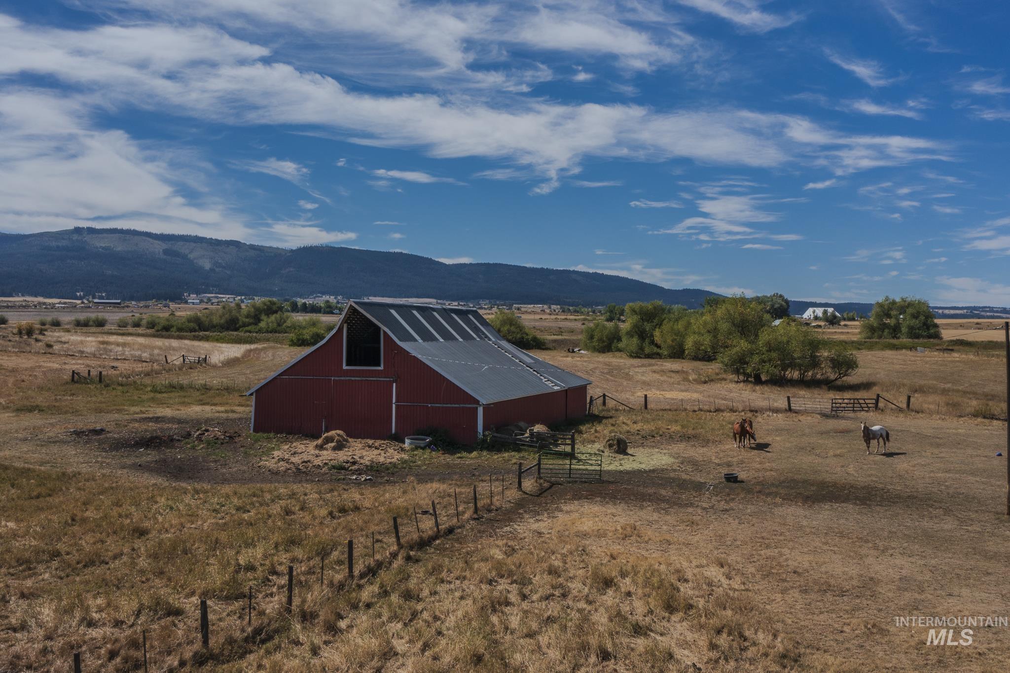 196 Highway 95 North
