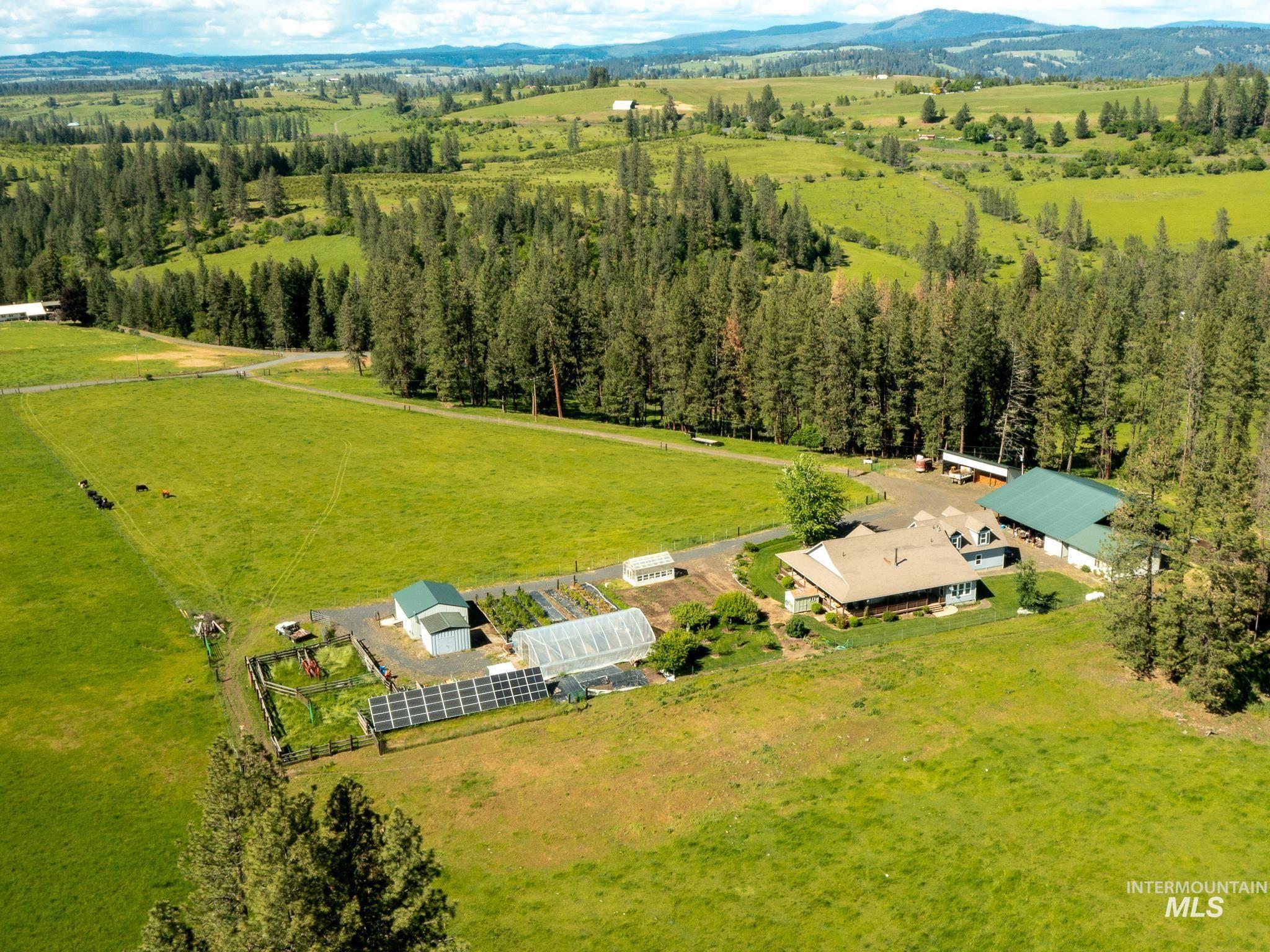 794 Pleasant Valley Rd